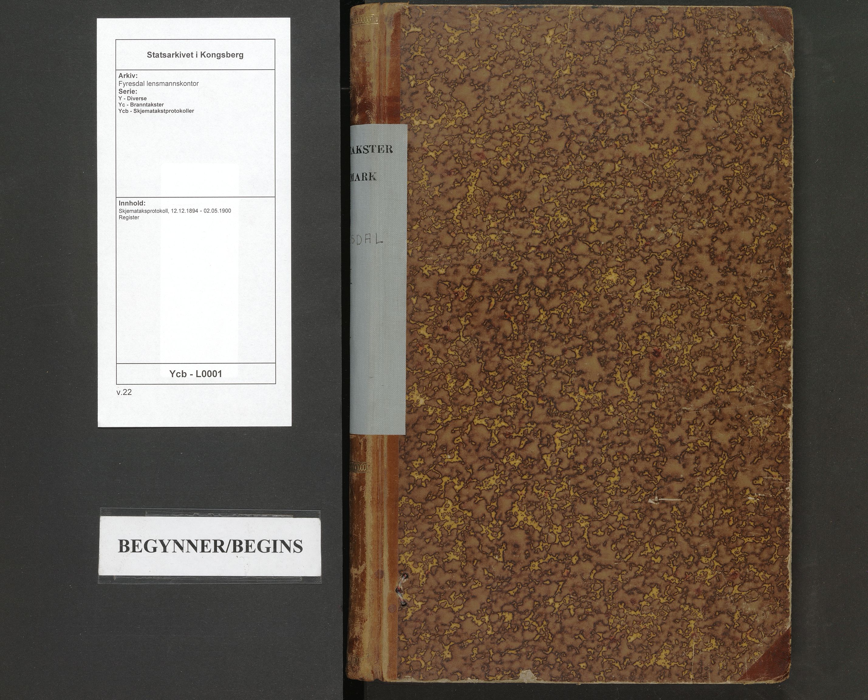 Fyresdal lensmannskontor, AV/SAKO-A-554/Y/Yc/Ycb/L0001: Skjematakstprotokoll, 1894-1900