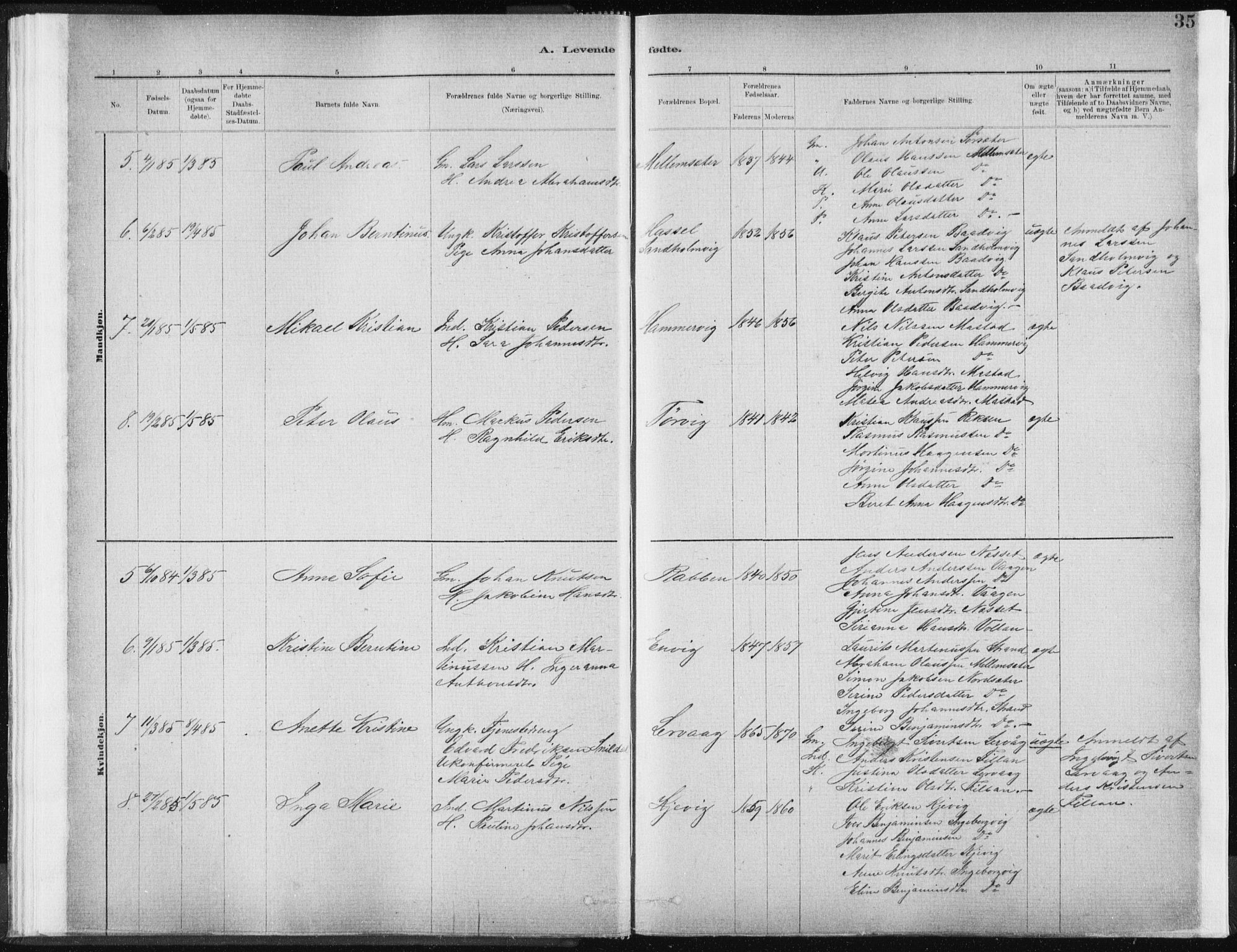 Ministerialprotokoller, klokkerbøker og fødselsregistre - Sør-Trøndelag, SAT/A-1456/637/L0558: Ministerialbok nr. 637A01, 1882-1899, s. 35