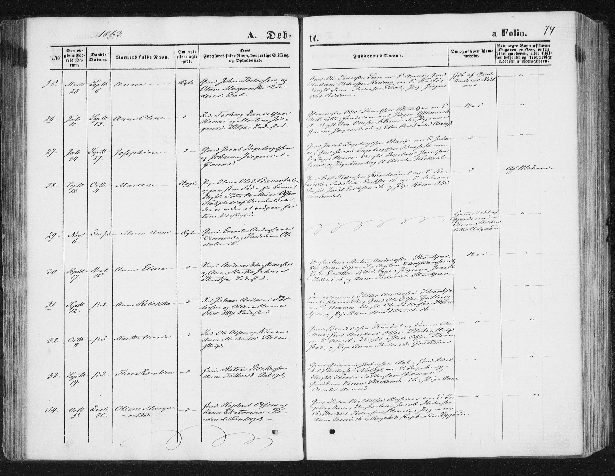 Ministerialprotokoller, klokkerbøker og fødselsregistre - Nord-Trøndelag, SAT/A-1458/746/L0447: Ministerialbok nr. 746A06, 1860-1877, s. 74