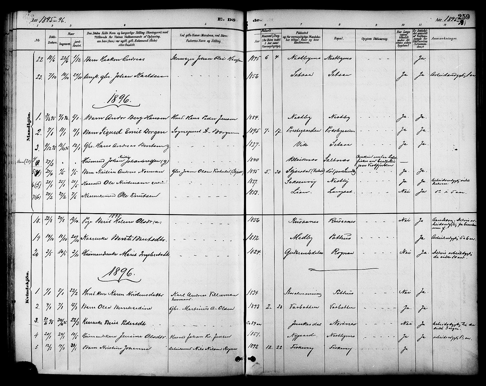 Ministerialprotokoller, klokkerbøker og fødselsregistre - Nordland, SAT/A-1459/847/L0669: Ministerialbok nr. 847A09, 1887-1901, s. 259