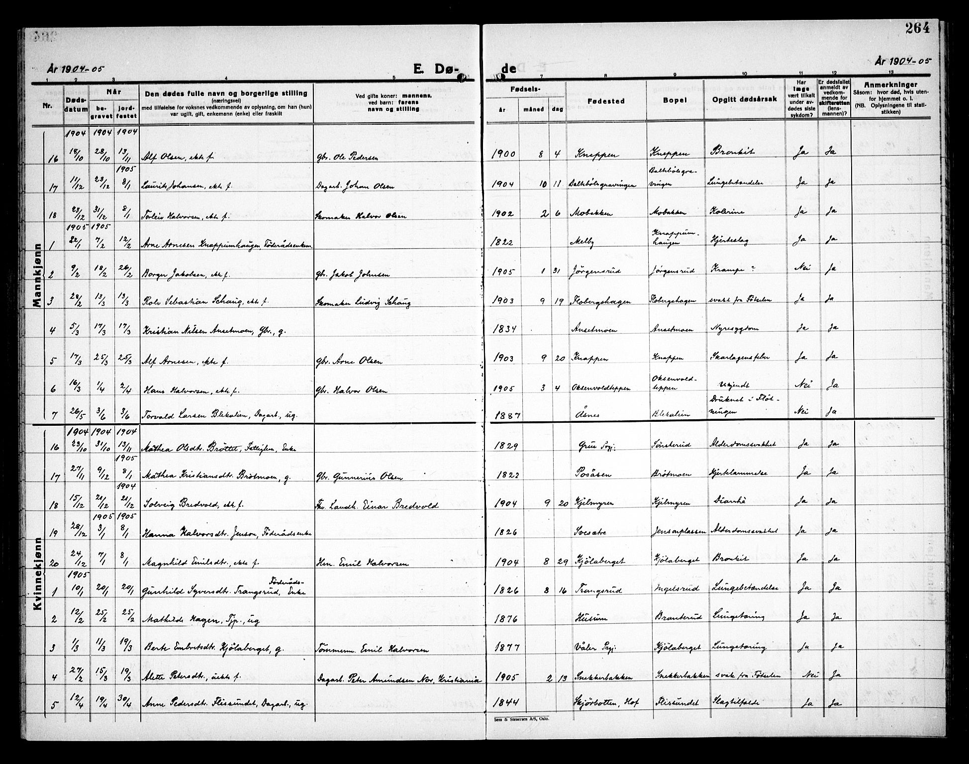 Åsnes prestekontor, AV/SAH-PREST-042/H/Ha/Haa/L0000C: Ministerialbok nr. 0A, 1890-1929, s. 264