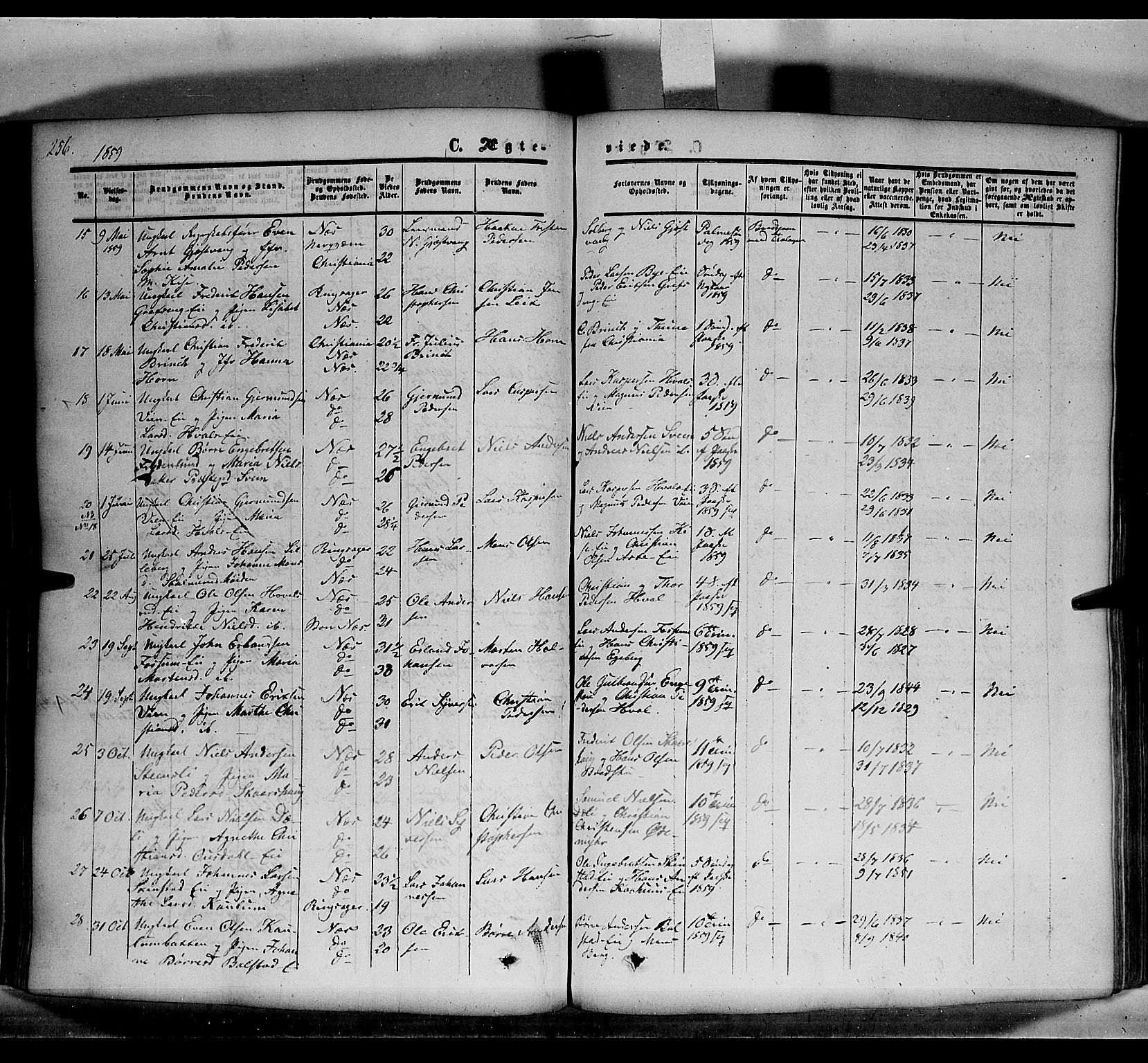 Nes prestekontor, Hedmark, SAH/PREST-020/K/Ka/L0004: Ministerialbok nr. 4, 1852-1886, s. 256