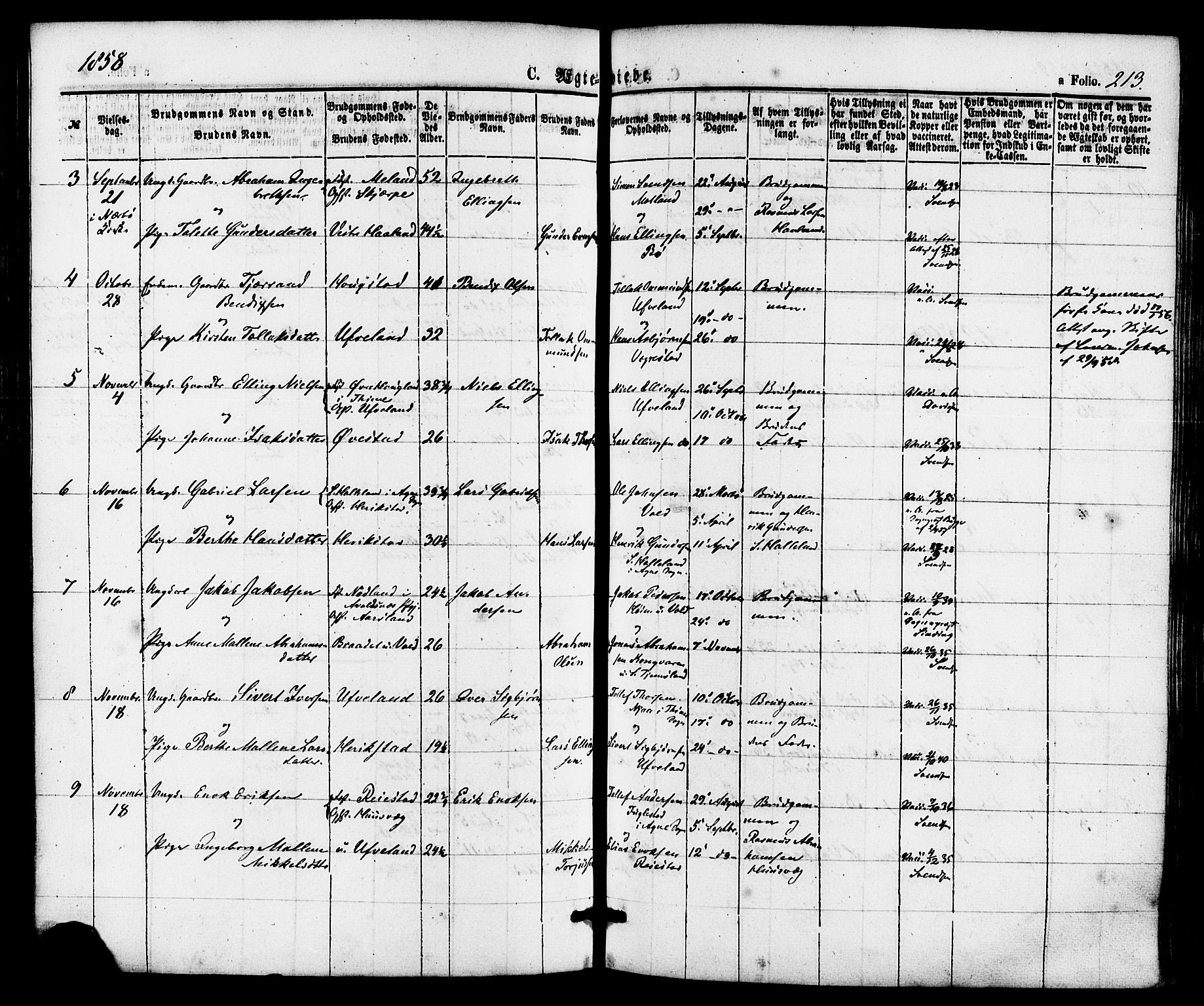 Hå sokneprestkontor, AV/SAST-A-101801/001/30BA/L0009: Ministerialbok nr. A 8, 1855-1878, s. 213