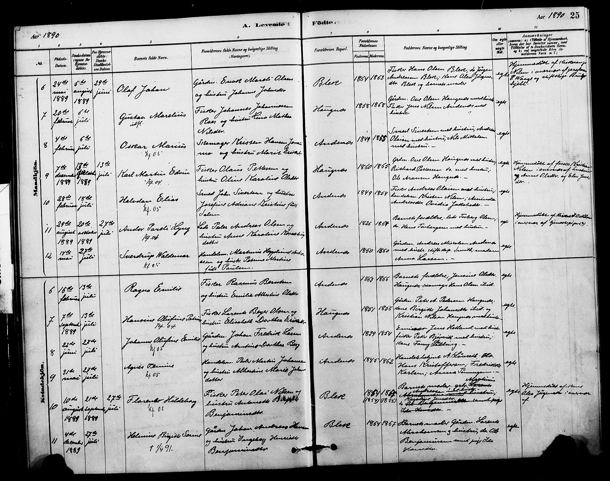 Ministerialprotokoller, klokkerbøker og fødselsregistre - Nordland, AV/SAT-A-1459/899/L1436: Ministerialbok nr. 899A04, 1881-1896, s. 25