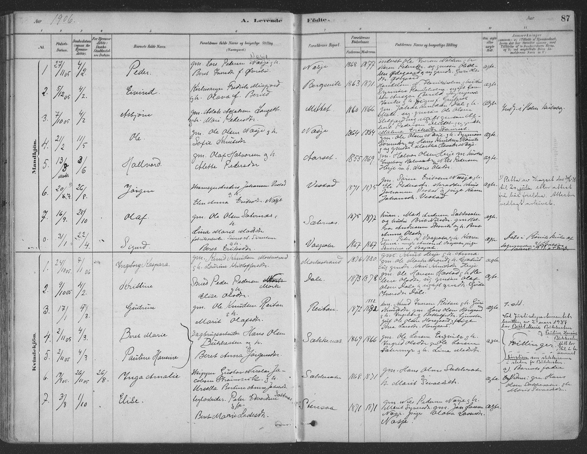Ministerialprotokoller, klokkerbøker og fødselsregistre - Møre og Romsdal, AV/SAT-A-1454/547/L0604: Ministerialbok nr. 547A06, 1878-1906, s. 87