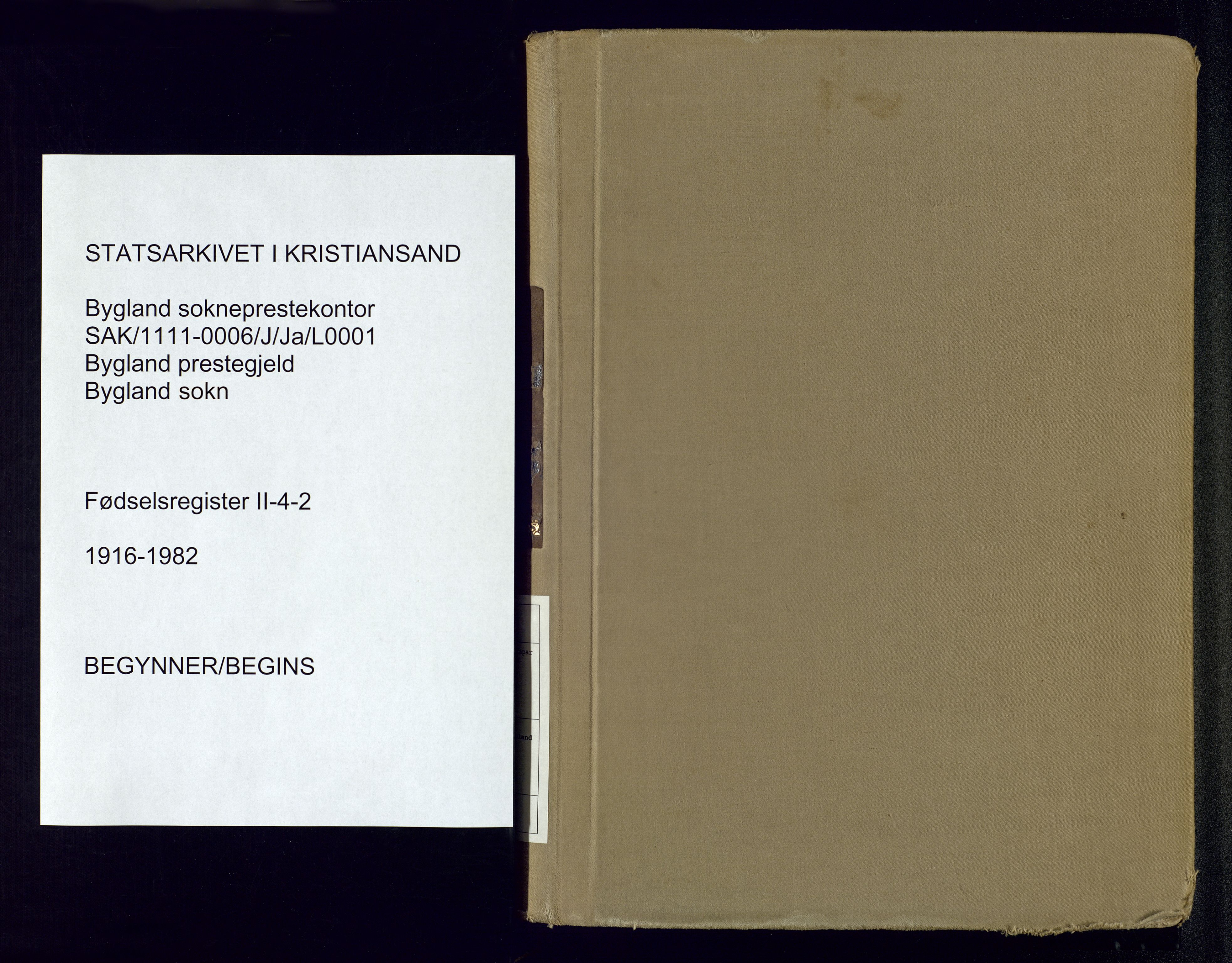 Bygland sokneprestkontor, SAK/1111-0006/J/Ja/L0001: Fødselsregister nr. II.4.2, 1916-1982