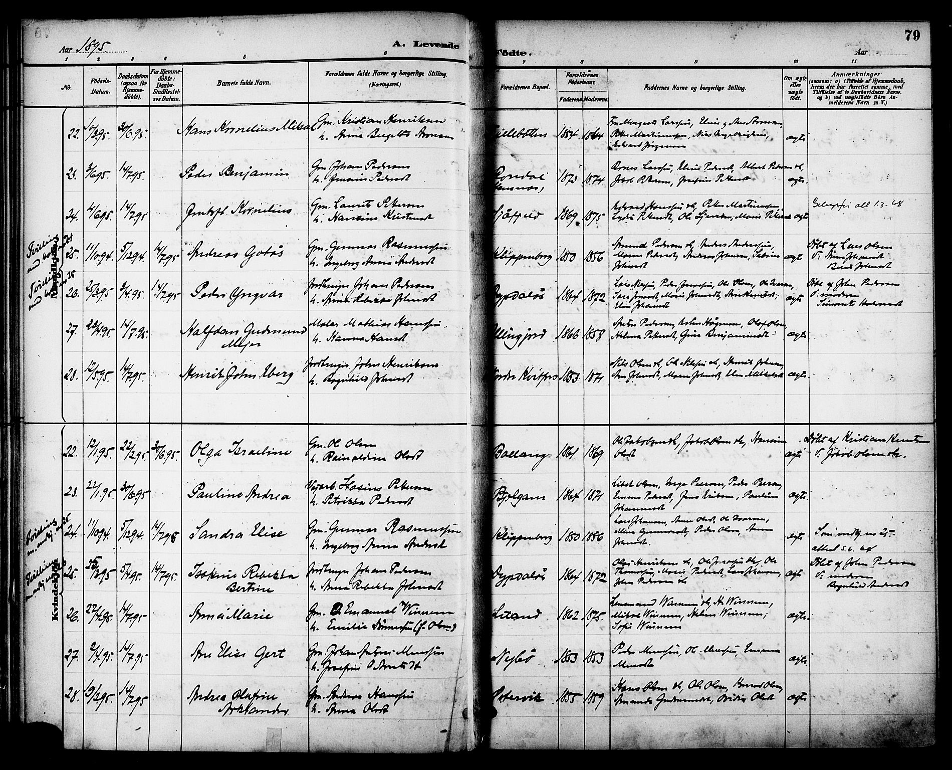 Ministerialprotokoller, klokkerbøker og fødselsregistre - Nordland, AV/SAT-A-1459/863/L0898: Ministerialbok nr. 863A10, 1886-1897, s. 79