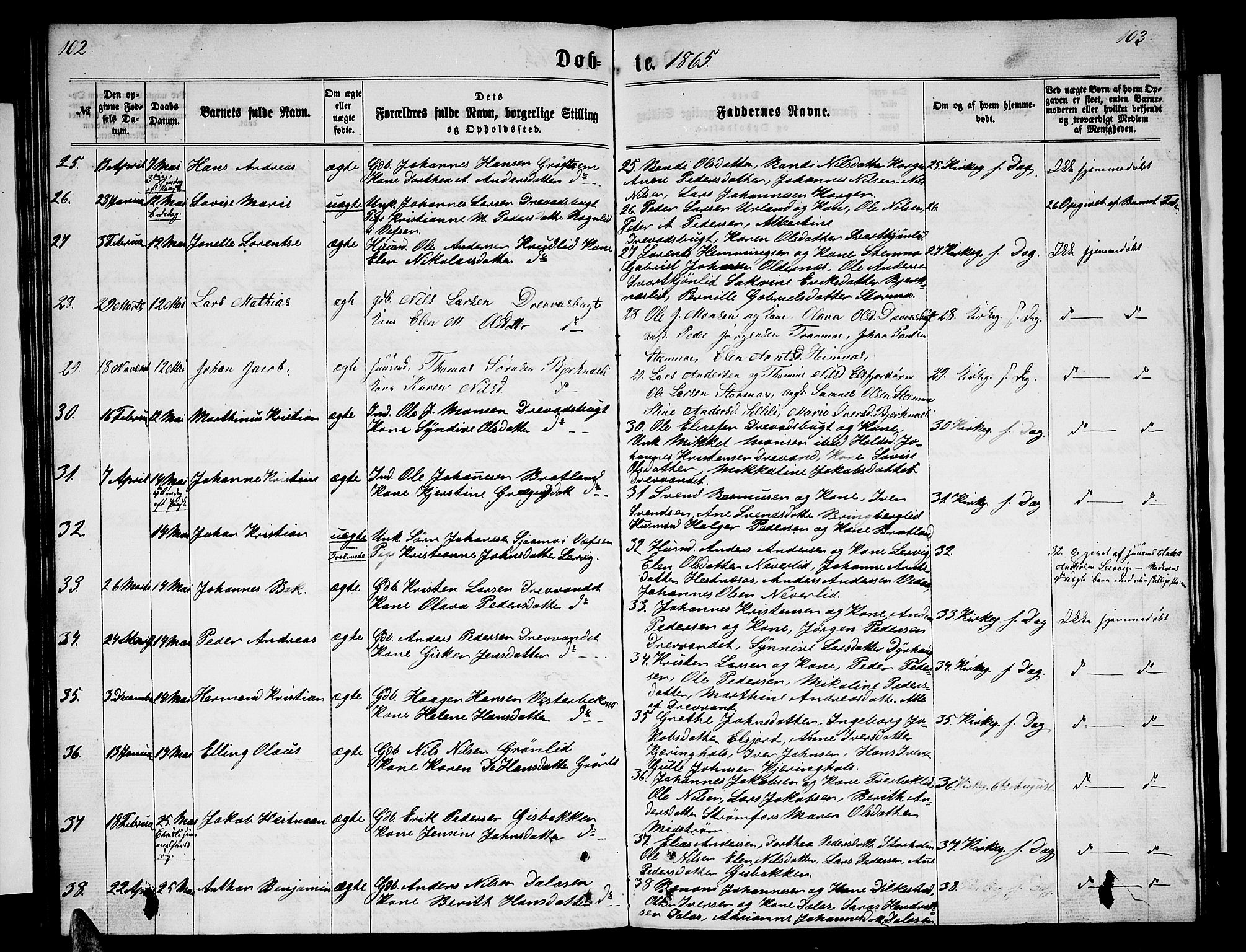 Ministerialprotokoller, klokkerbøker og fødselsregistre - Nordland, AV/SAT-A-1459/825/L0365: Klokkerbok nr. 825C02, 1858-1873, s. 102-103