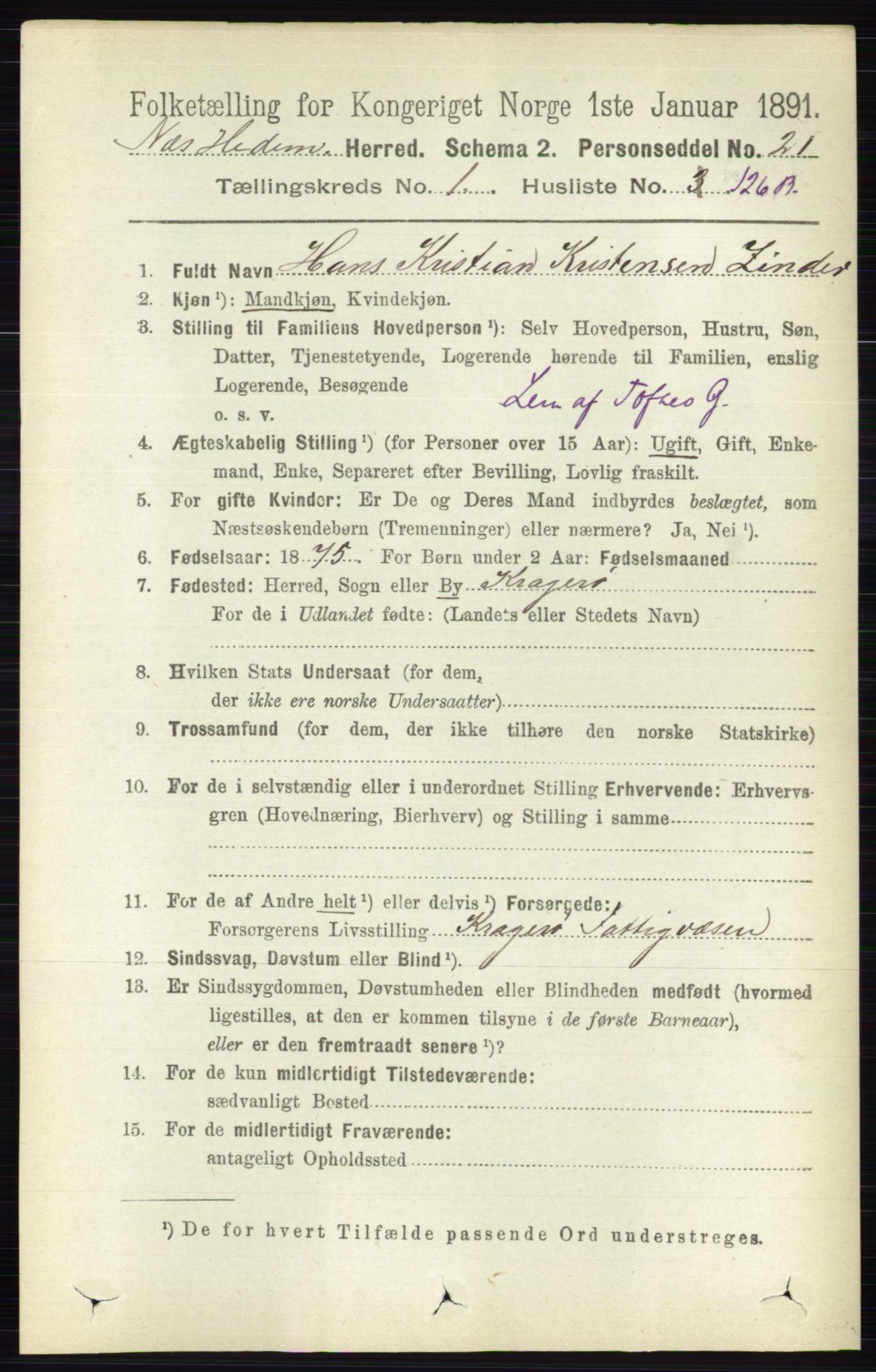 RA, Folketelling 1891 for 0411 Nes herred, 1891, s. 928