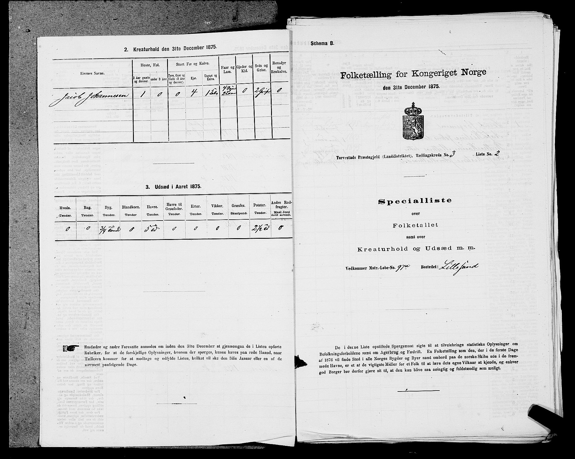 SAST, Folketelling 1875 for 1152L Torvastad prestegjeld, Torvastad sokn, Skåre sokn og Utsira sokn, 1875, s. 419