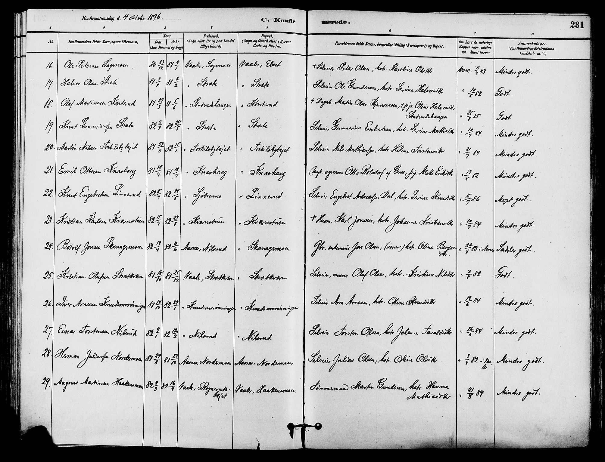 Våler prestekontor, Hedmark, AV/SAH-PREST-040/H/Ha/Haa/L0002: Ministerialbok nr. 3, 1879-1911, s. 231