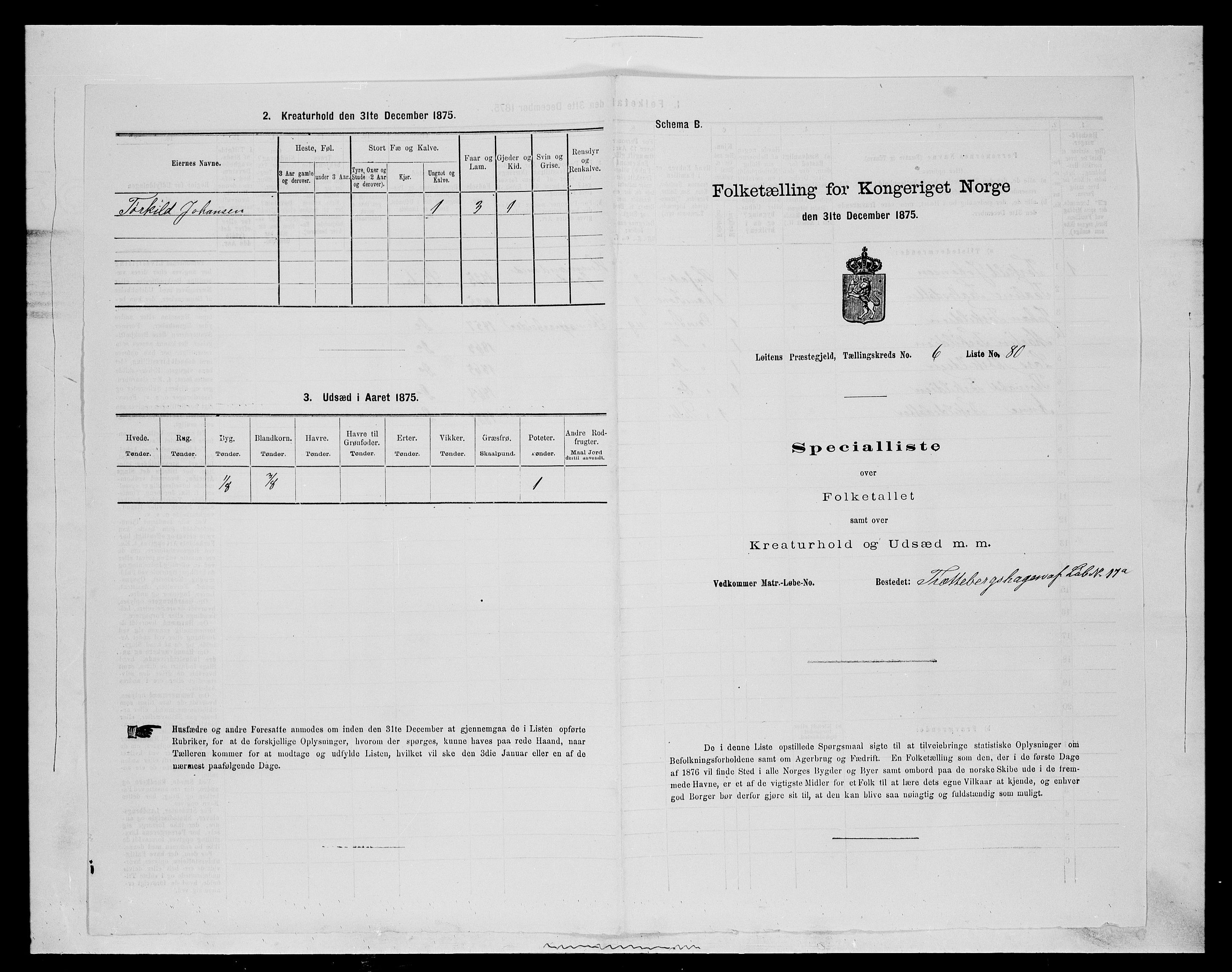 SAH, Folketelling 1875 for 0415P Løten prestegjeld, 1875, s. 1410