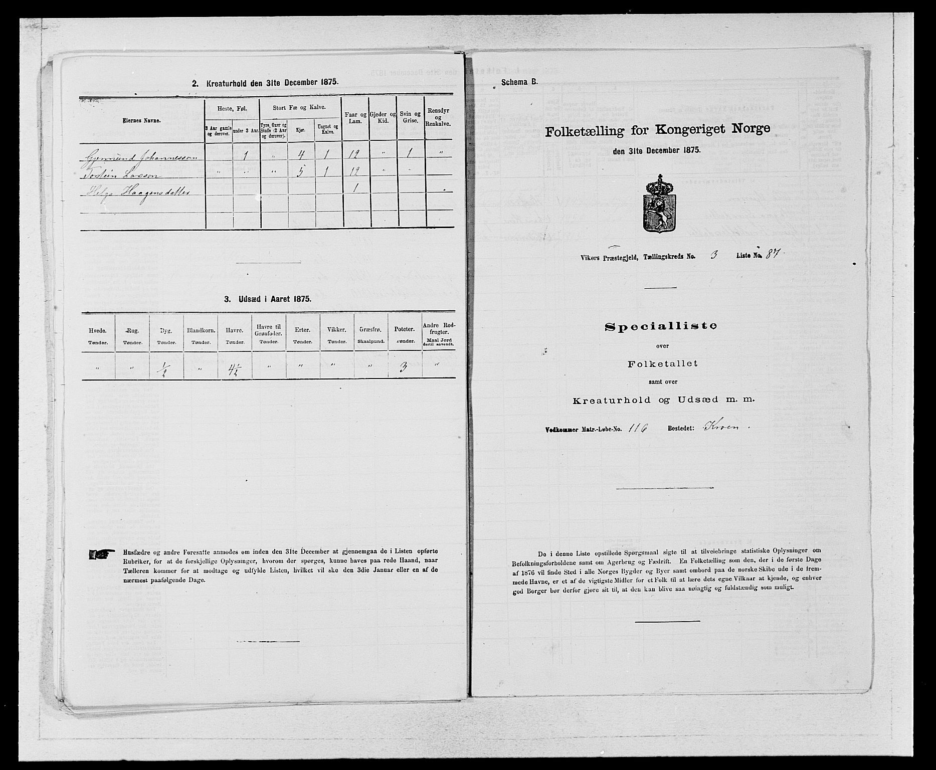 SAB, Folketelling 1875 for 1238P Vikør prestegjeld, 1875, s. 517