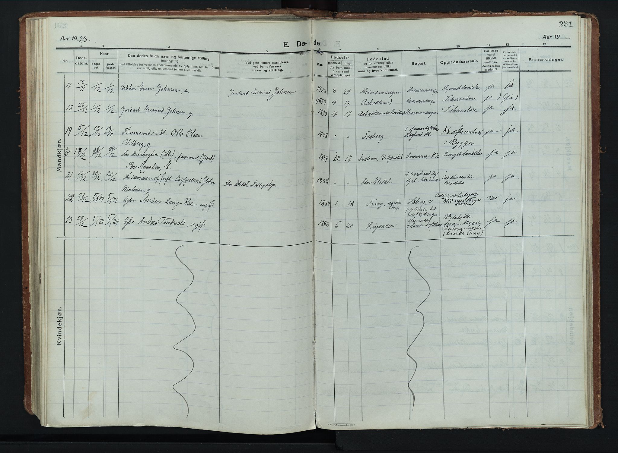 Stange prestekontor, AV/SAH-PREST-002/K/L0028: Ministerialbok nr. 28, 1913-1932, s. 231