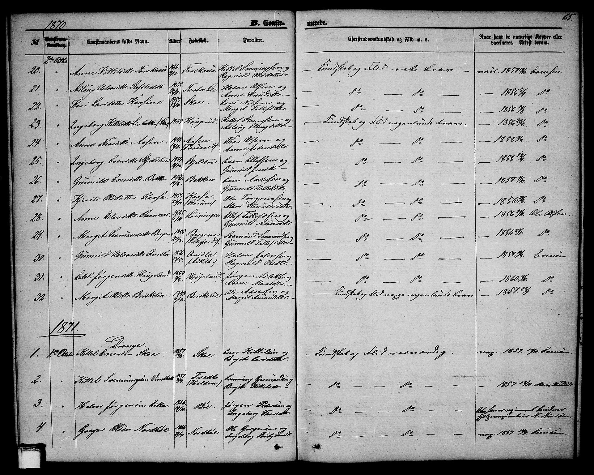 Bø kirkebøker, AV/SAKO-A-257/G/Ga/L0003: Klokkerbok nr. 3, 1866-1875, s. 65