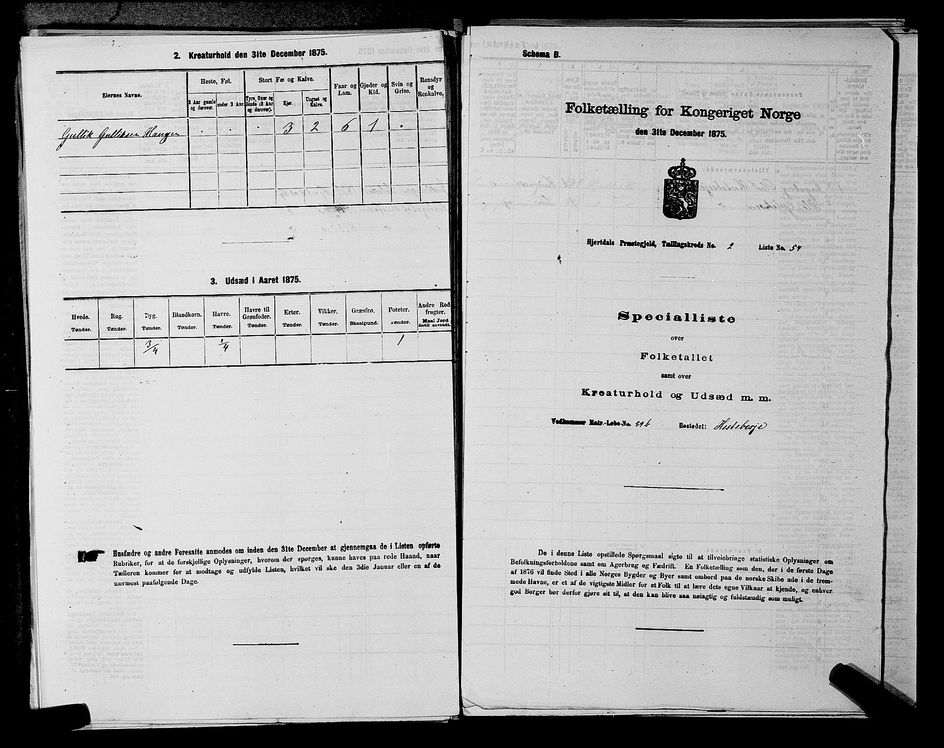 SAKO, Folketelling 1875 for 0827P Hjartdal prestegjeld, 1875, s. 315