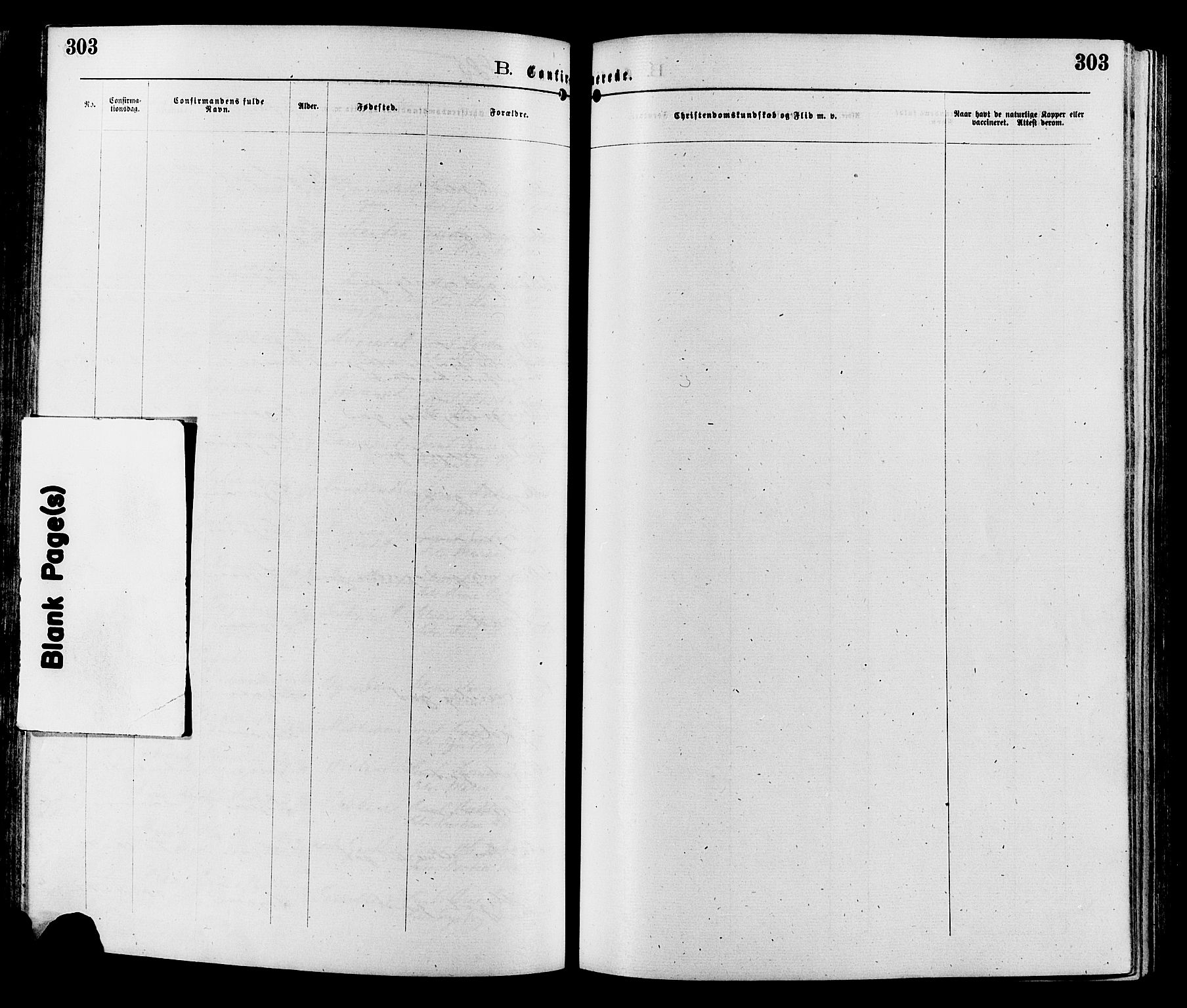 Sør-Aurdal prestekontor, AV/SAH-PREST-128/H/Ha/Haa/L0008: Ministerialbok nr. 8, 1877-1885, s. 303