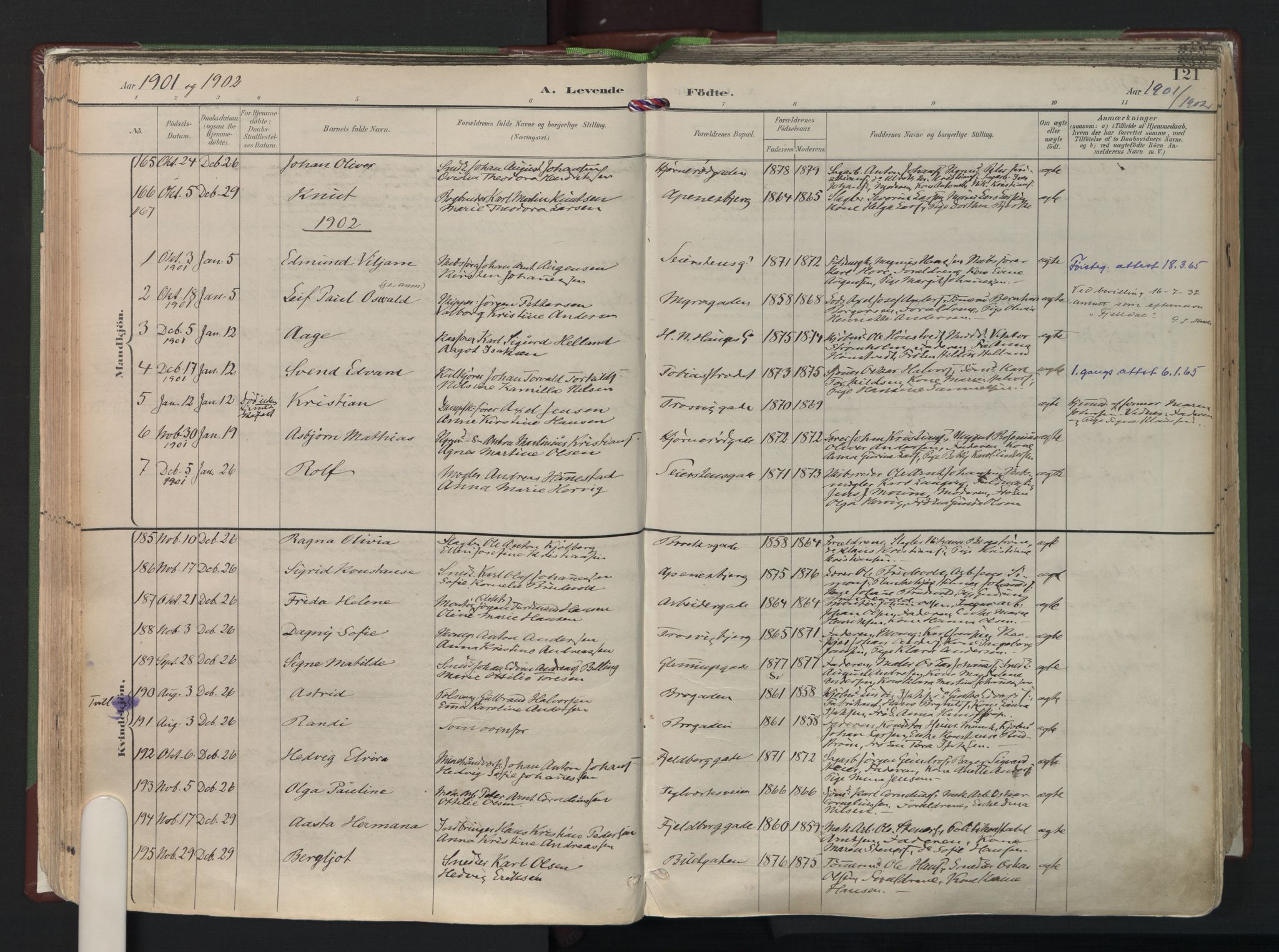 Fredrikstad domkirkes prestekontor Kirkebøker, AV/SAO-A-10906/F/Fa/L0006: Ministerialbok nr. 6, 1894-1914, s. 121
