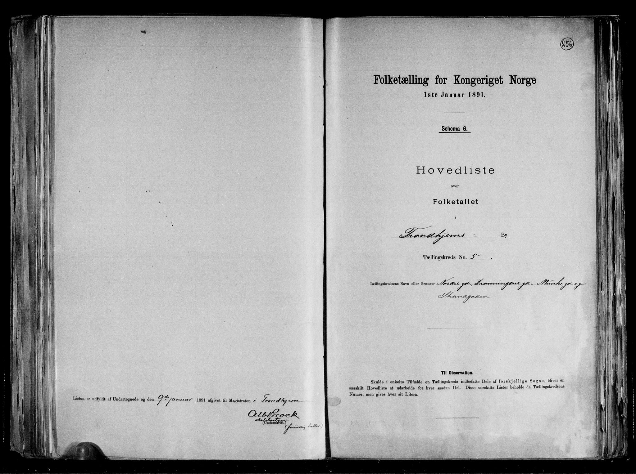RA, Folketelling 1891 for 1601 Trondheim kjøpstad, 1891, s. 17