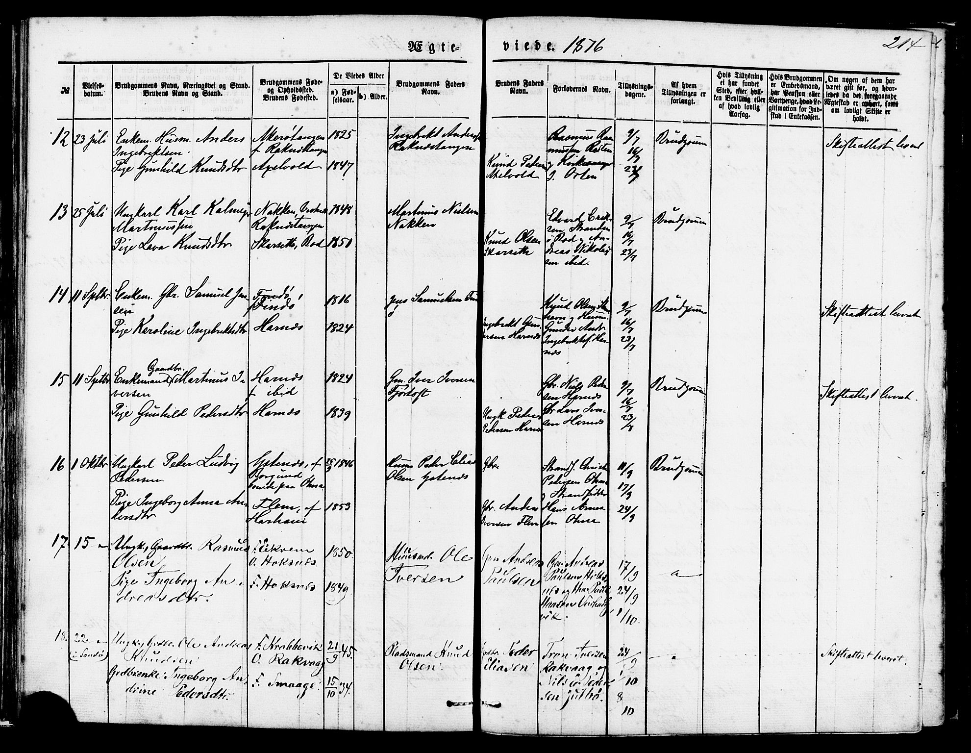 Ministerialprotokoller, klokkerbøker og fødselsregistre - Møre og Romsdal, AV/SAT-A-1454/560/L0720: Ministerialbok nr. 560A04, 1873-1878, s. 214