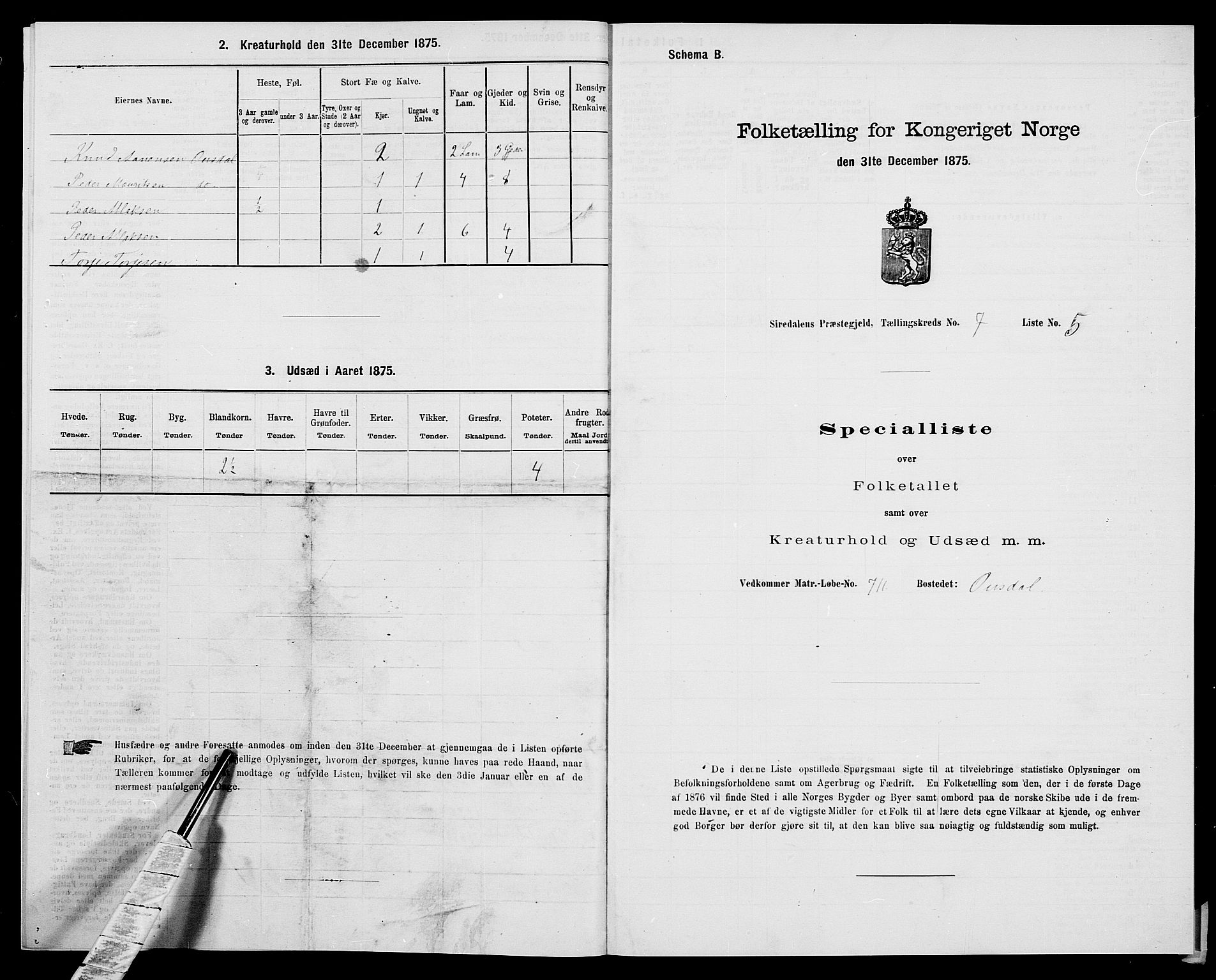 SAK, Folketelling 1875 for 1046P Sirdal prestegjeld, 1875, s. 585