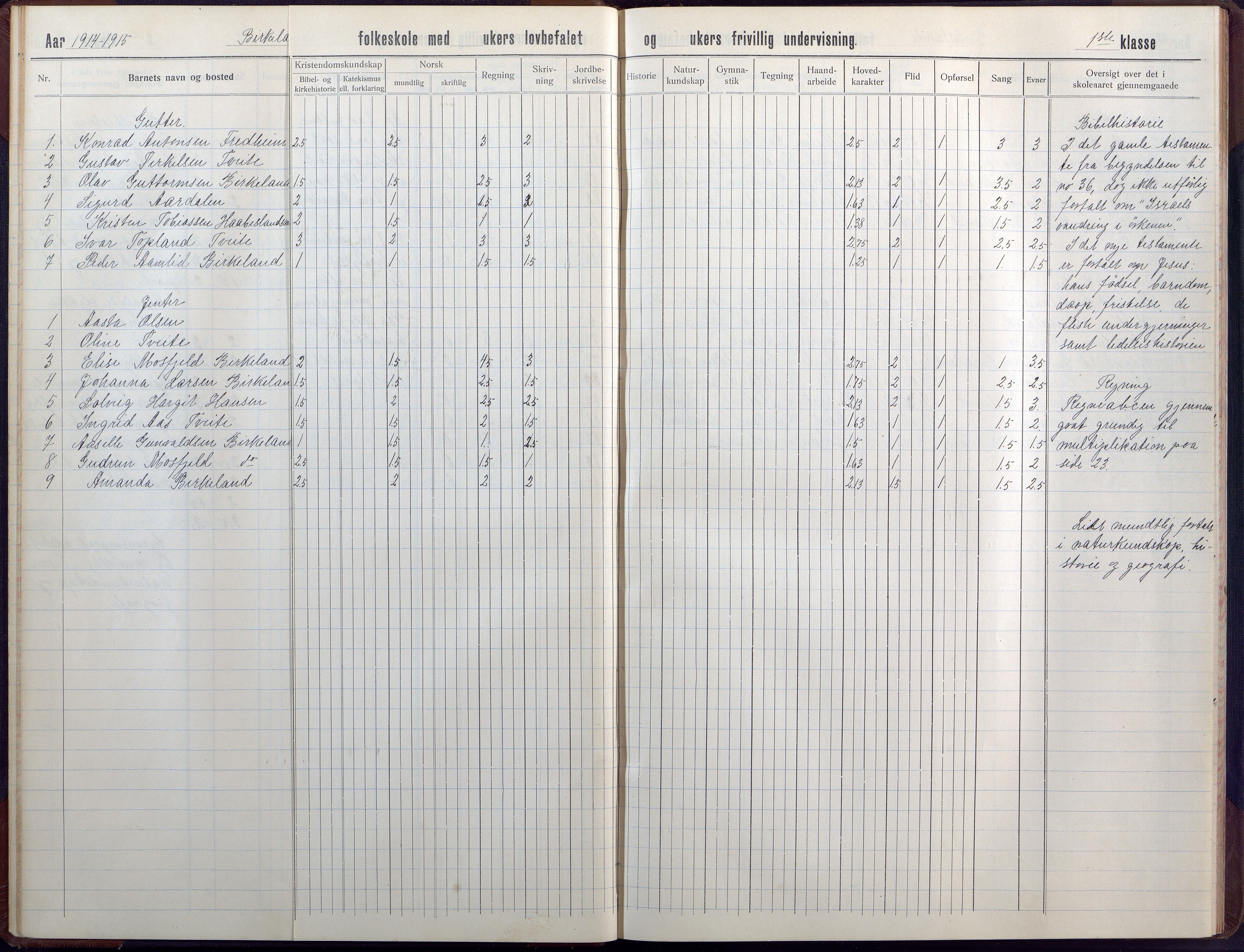 Birkenes kommune, Birkenes krets/Birkeland folkeskole frem til 1991, AAKS/KA0928-550a_91/F02/L0008: Skoleprotokoll, 1911-1930