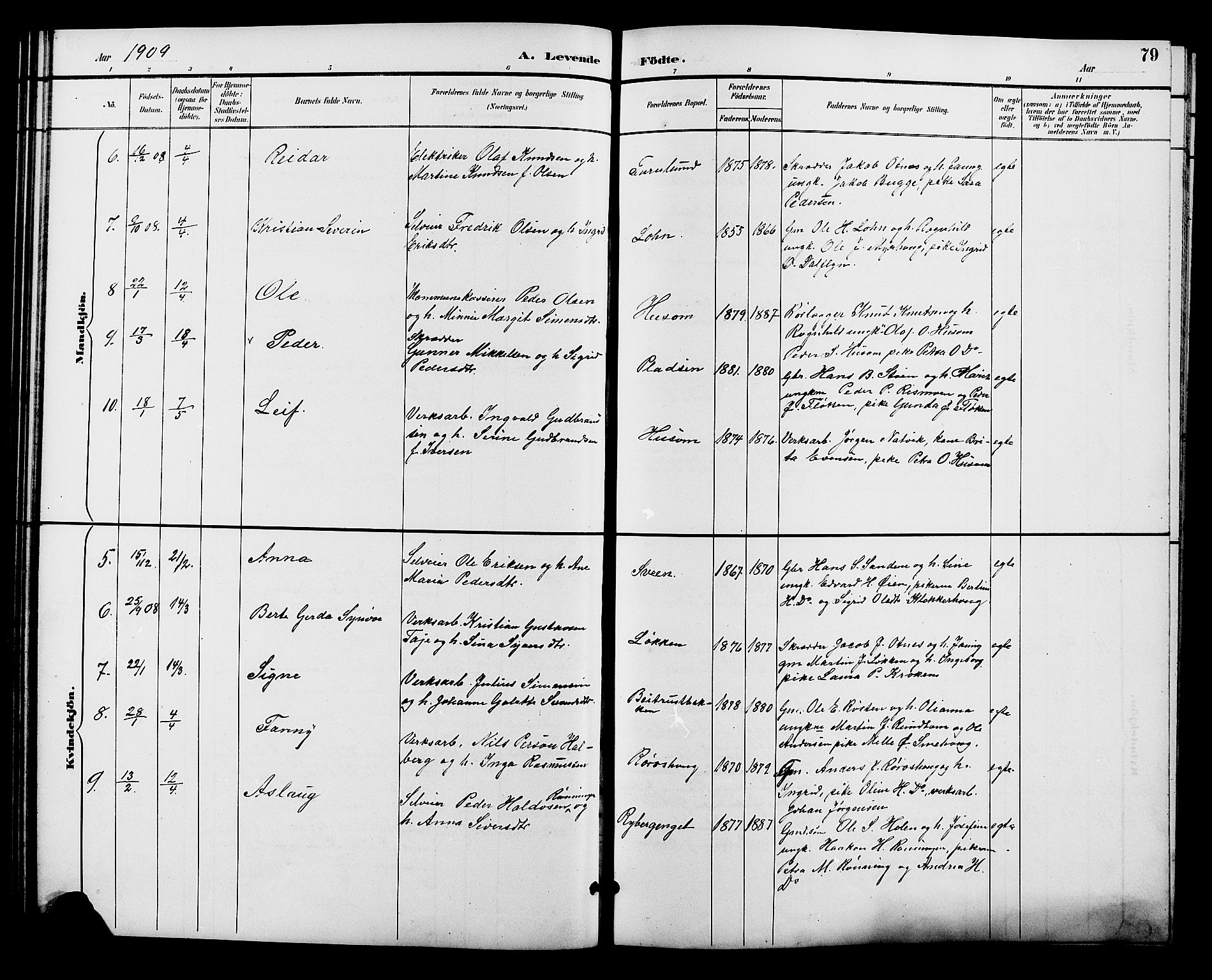 Alvdal prestekontor, AV/SAH-PREST-060/H/Ha/Hab/L0004: Klokkerbok nr. 4, 1894-1910, s. 79
