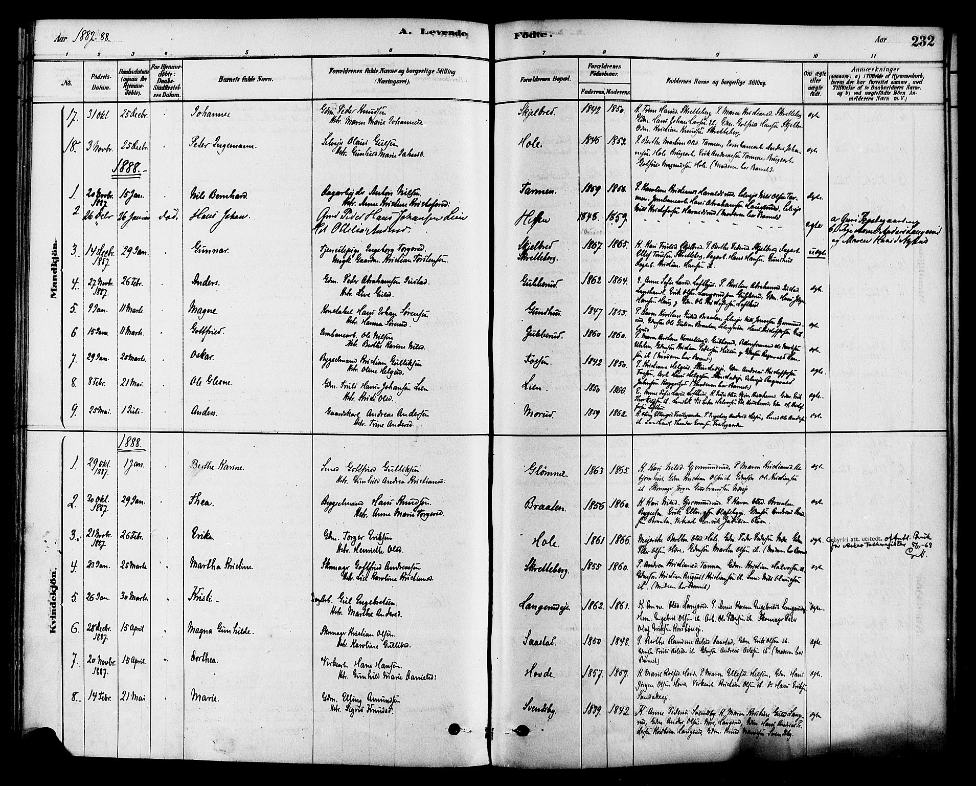 Modum kirkebøker, SAKO/A-234/F/Fa/L0015: Ministerialbok nr. 15 /2, 1877-1889, s. 232