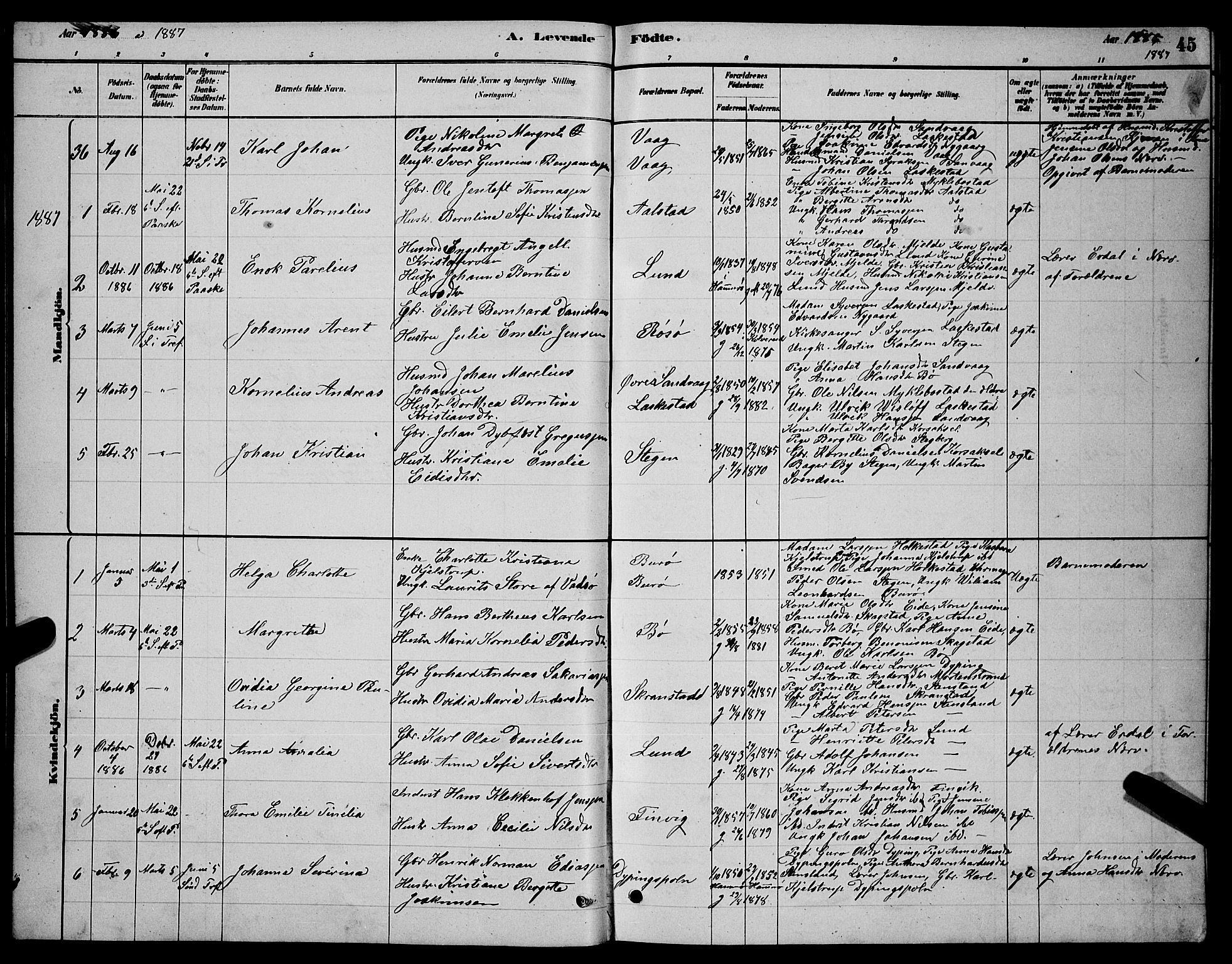 Ministerialprotokoller, klokkerbøker og fødselsregistre - Nordland, AV/SAT-A-1459/855/L0816: Klokkerbok nr. 855C05, 1879-1894, s. 45