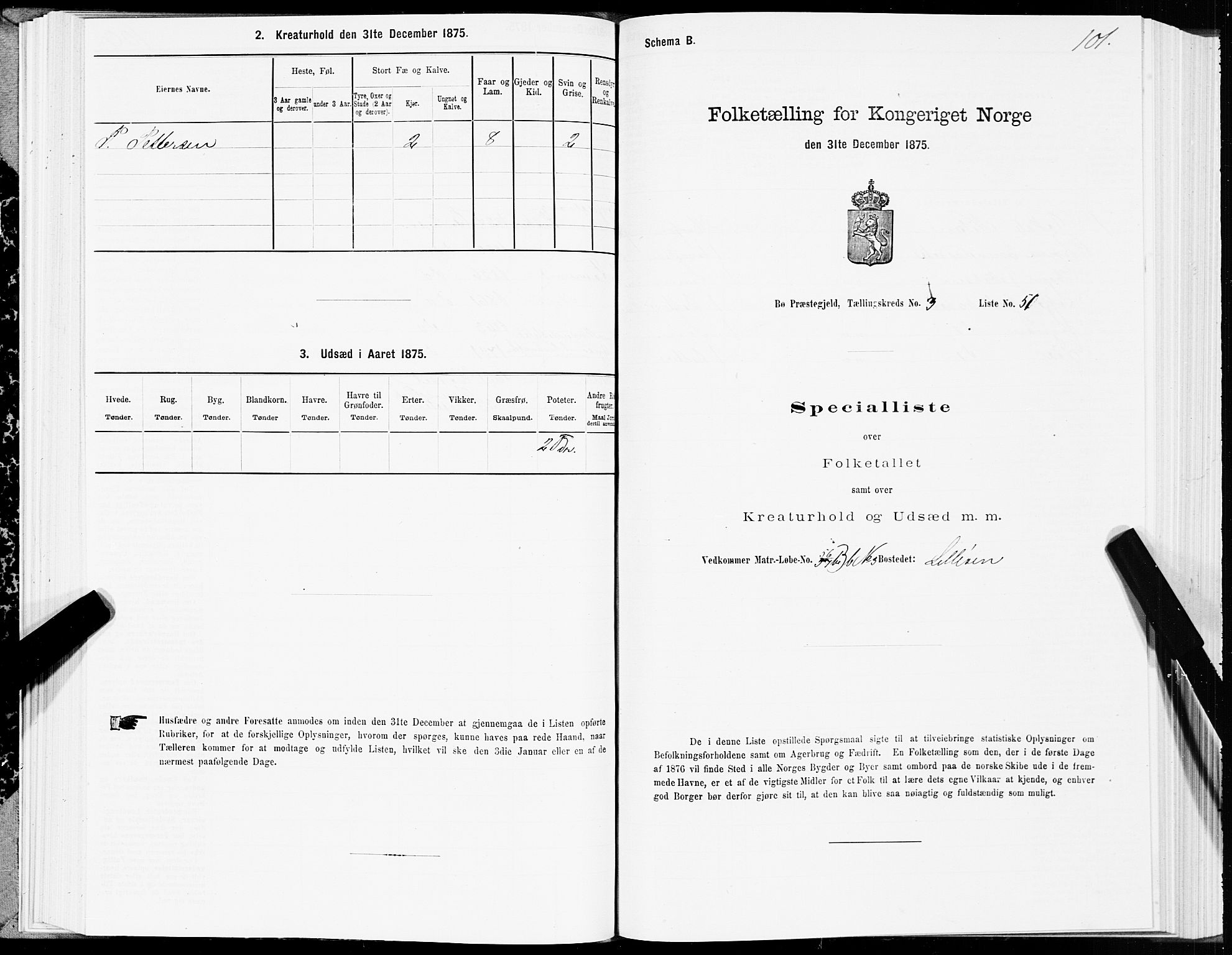 SAT, Folketelling 1875 for 1867P Bø prestegjeld, 1875, s. 2101