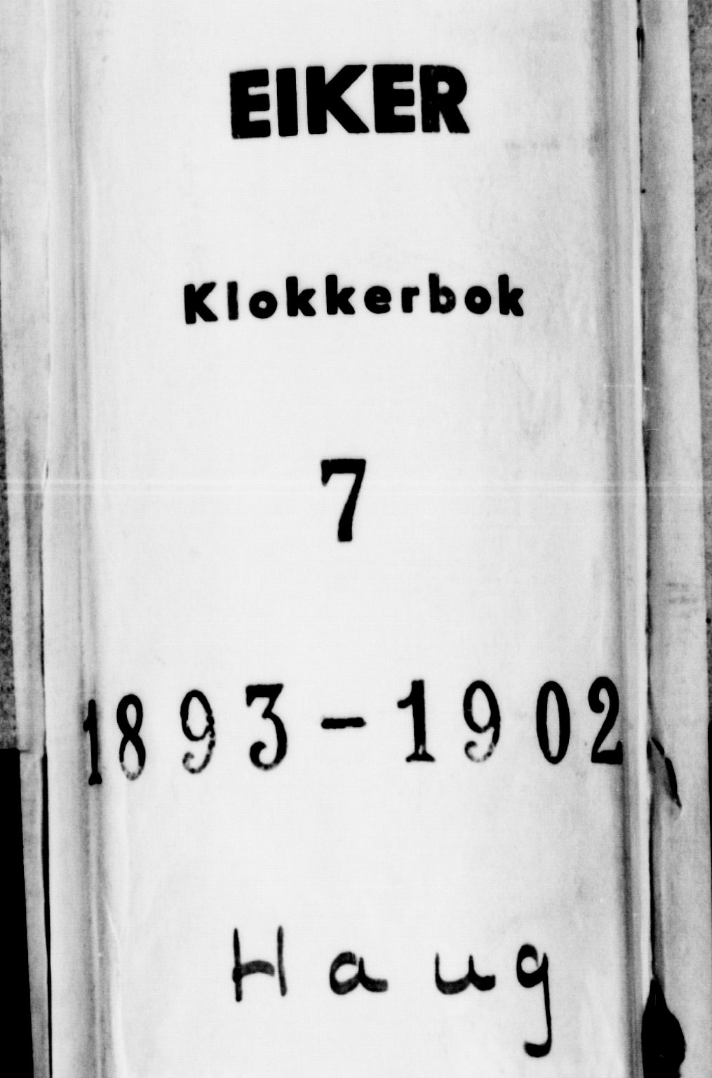 Eiker kirkebøker, AV/SAKO-A-4/G/Ga/L0007: Klokkerbok nr. I 7, 1893-1902