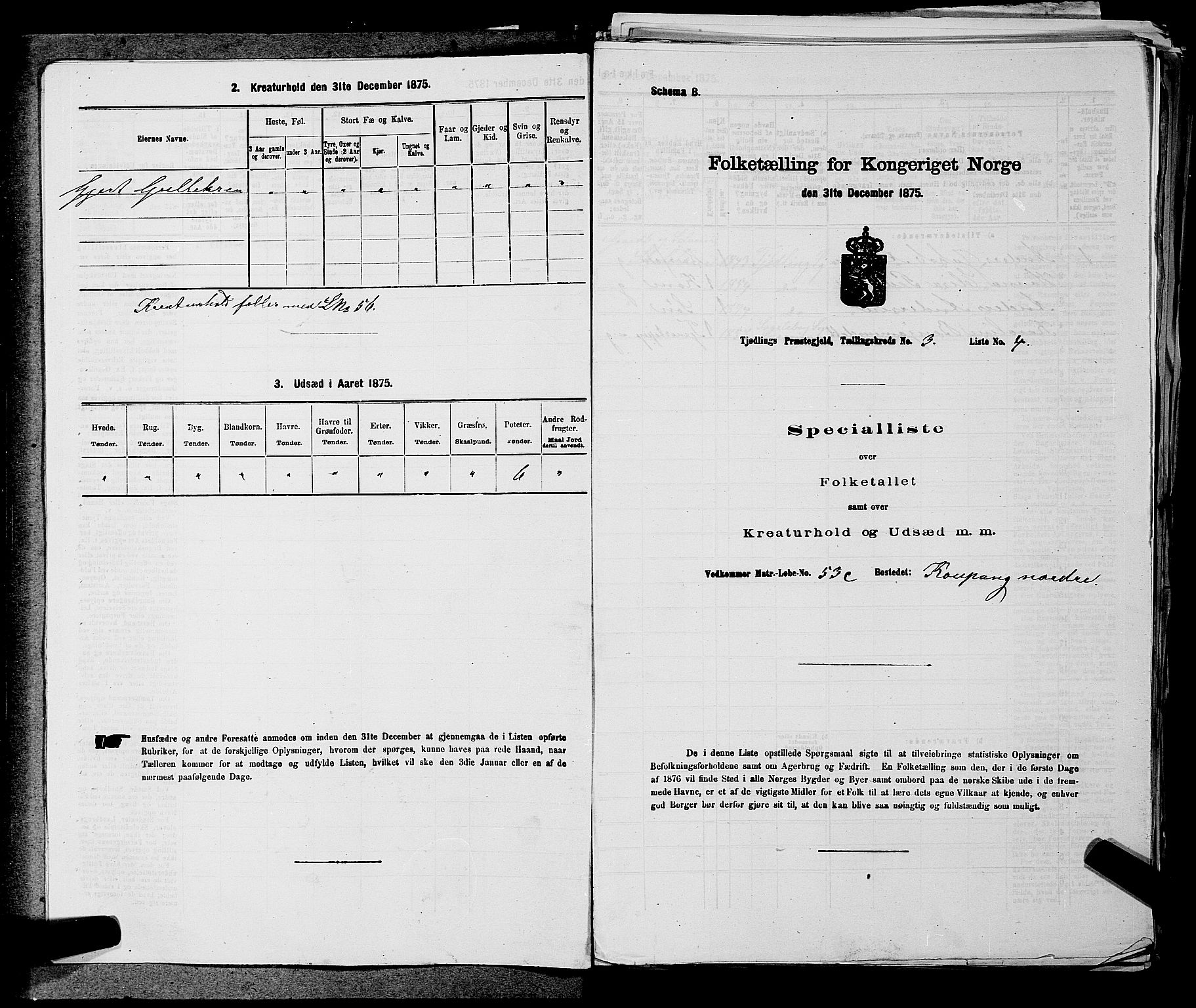 SAKO, Folketelling 1875 for 0725P Tjølling prestegjeld, 1875, s. 537