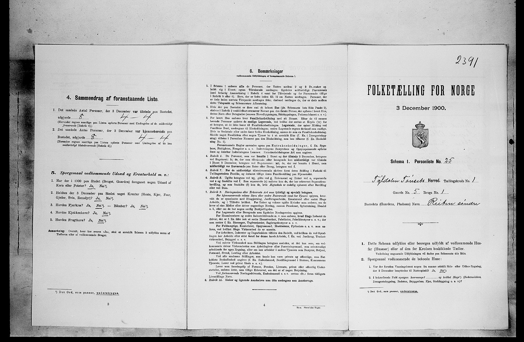 SAH, Folketelling 1900 for 0437 Tynset herred, 1900, s. 155