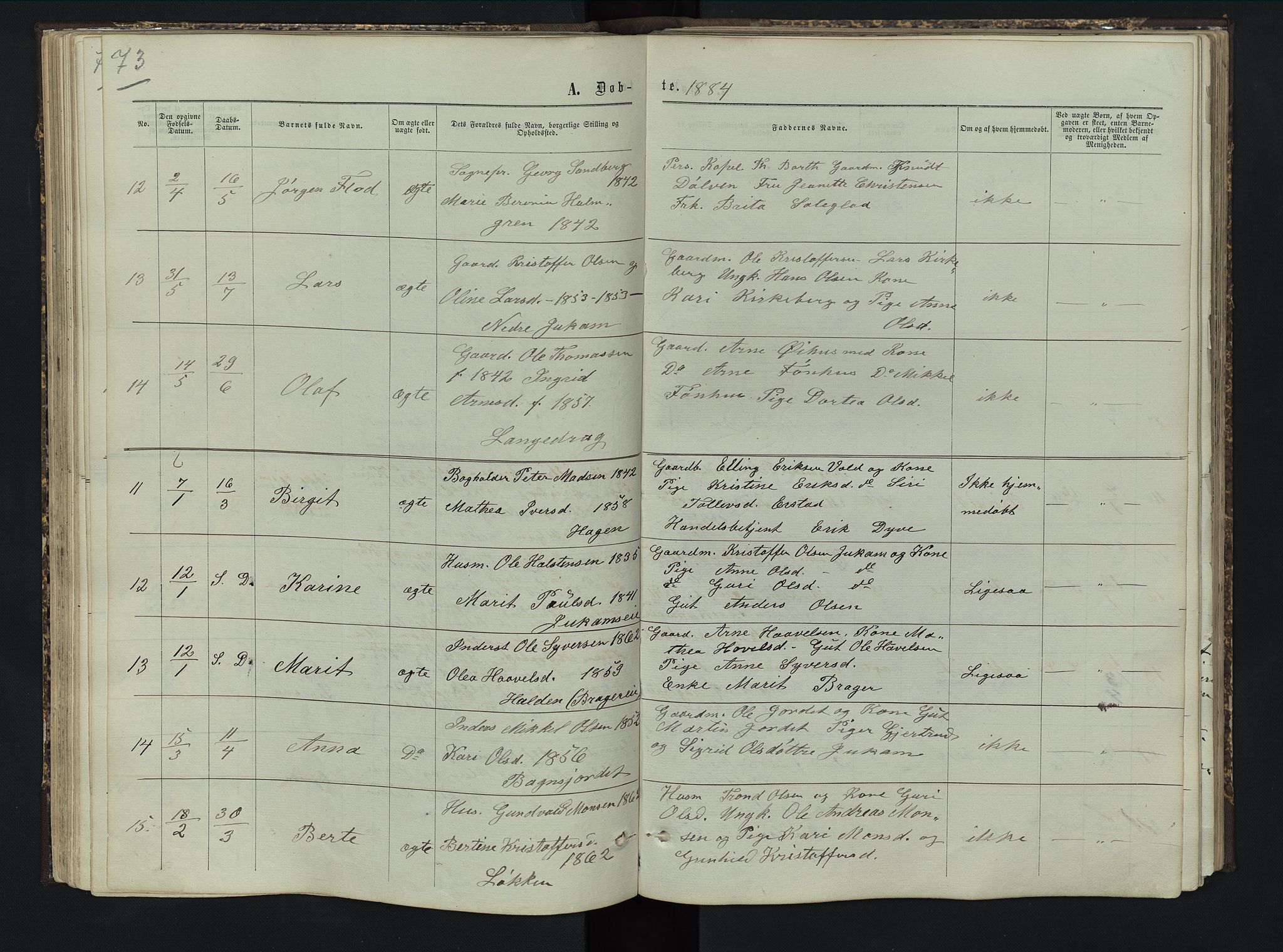 Sør-Aurdal prestekontor, AV/SAH-PREST-128/H/Ha/Hab/L0005: Klokkerbok nr. 5, 1866-1893, s. 73