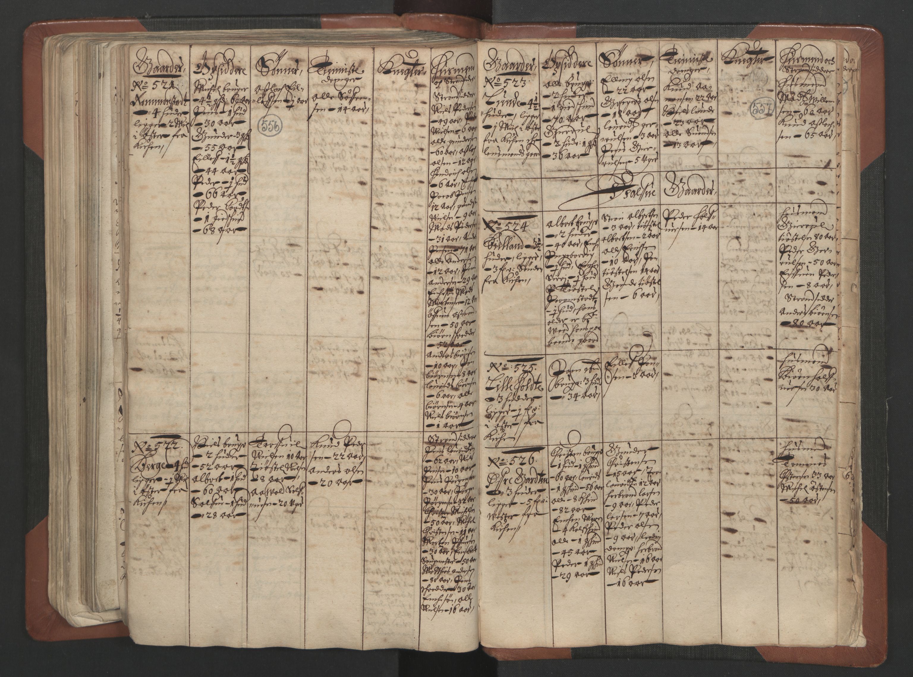 RA, Fogdenes og sorenskrivernes manntall 1664-1666, nr. 7: Nedenes fogderi, 1664-1666, s. 556-557