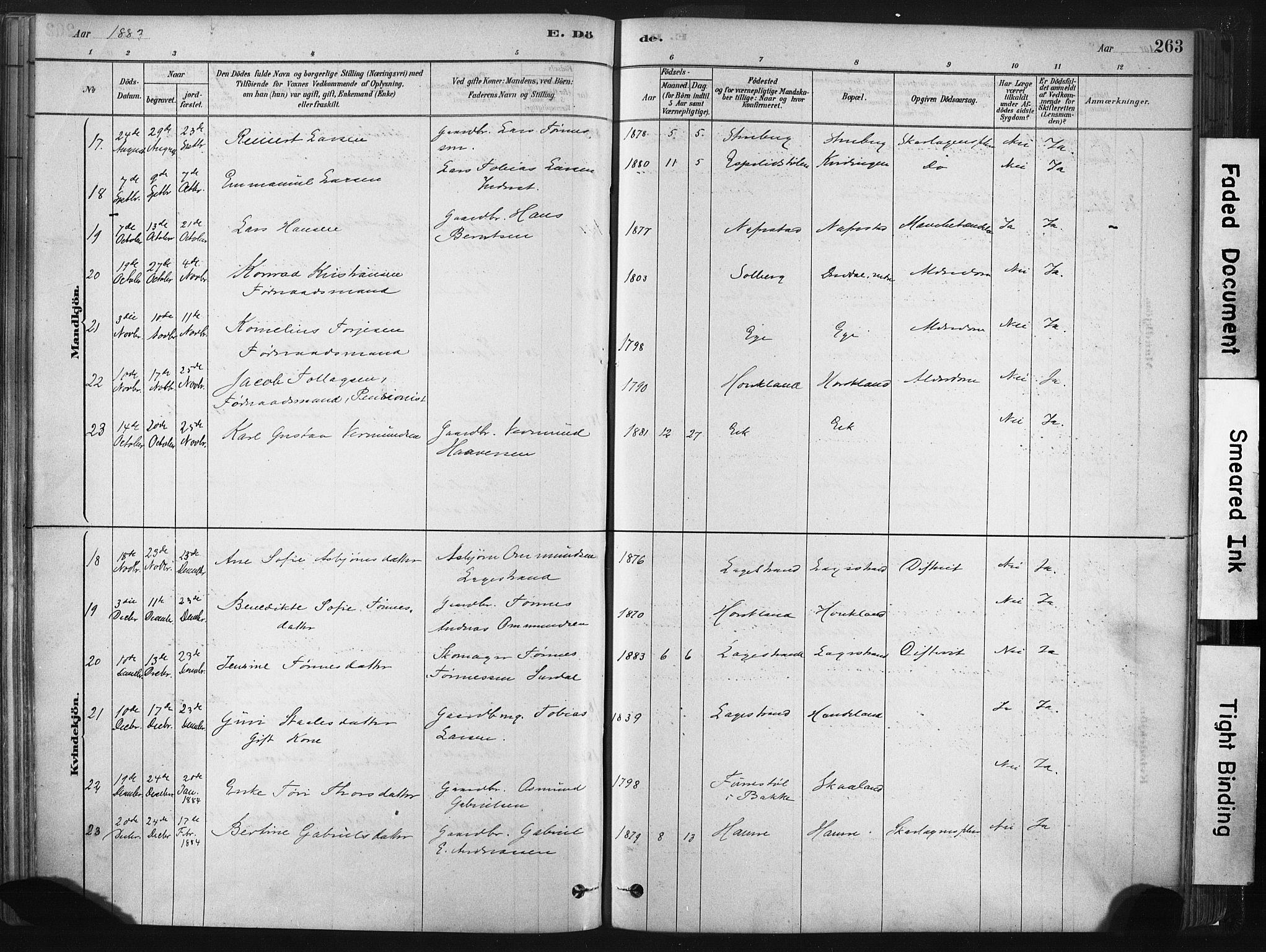 Lund sokneprestkontor, AV/SAST-A-101809/S06/L0011: Ministerialbok nr. A 10, 1877-1904, s. 263