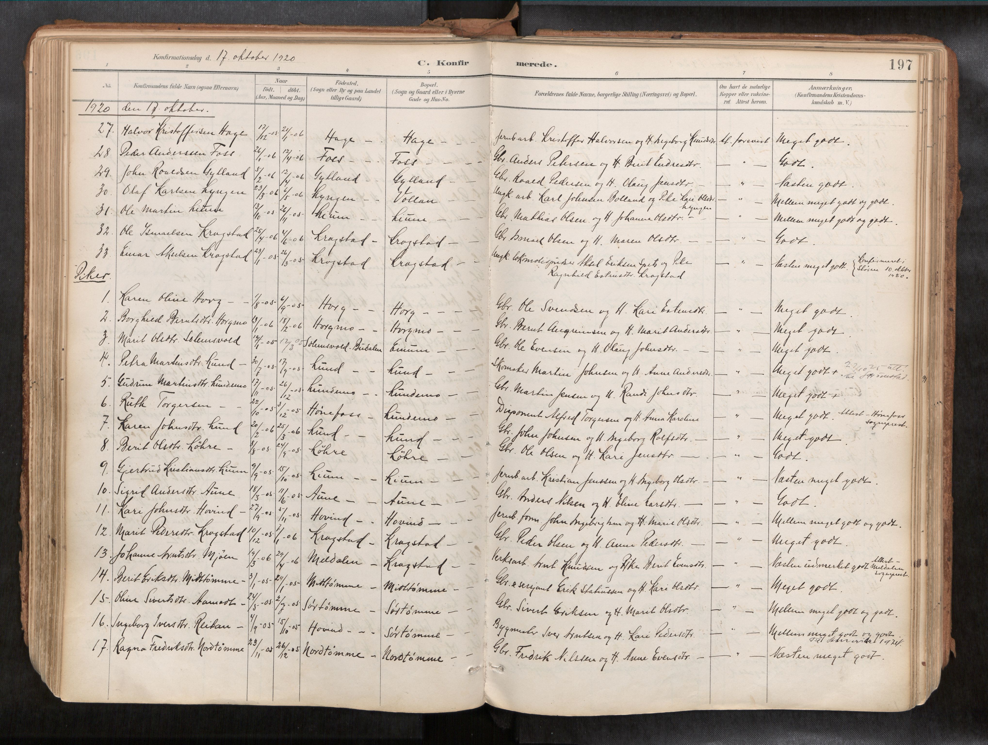 Ministerialprotokoller, klokkerbøker og fødselsregistre - Sør-Trøndelag, AV/SAT-A-1456/692/L1105b: Ministerialbok nr. 692A06, 1891-1934, s. 197
