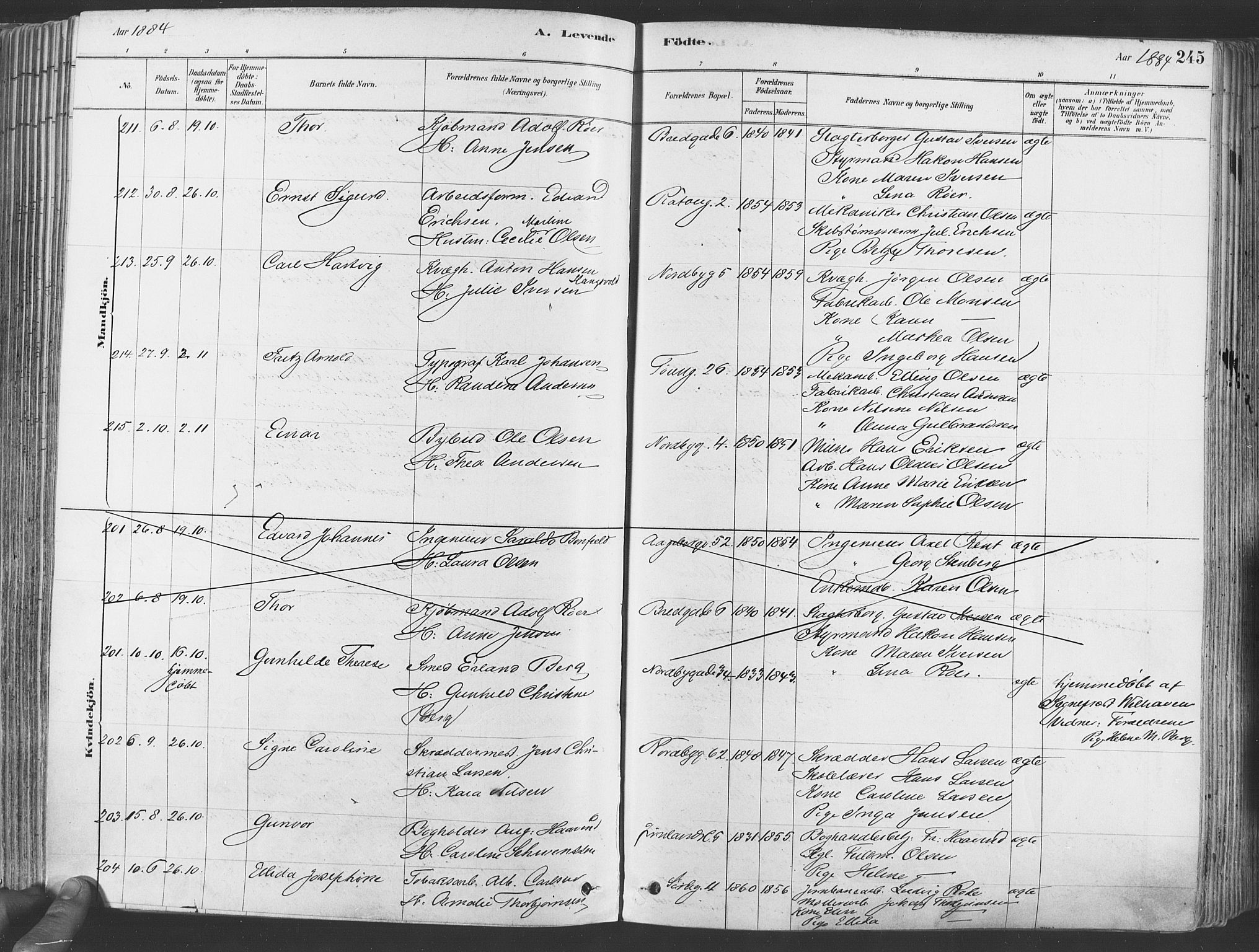 Grønland prestekontor Kirkebøker, SAO/A-10848/F/Fa/L0007: Ministerialbok nr. 7, 1878-1888, s. 245