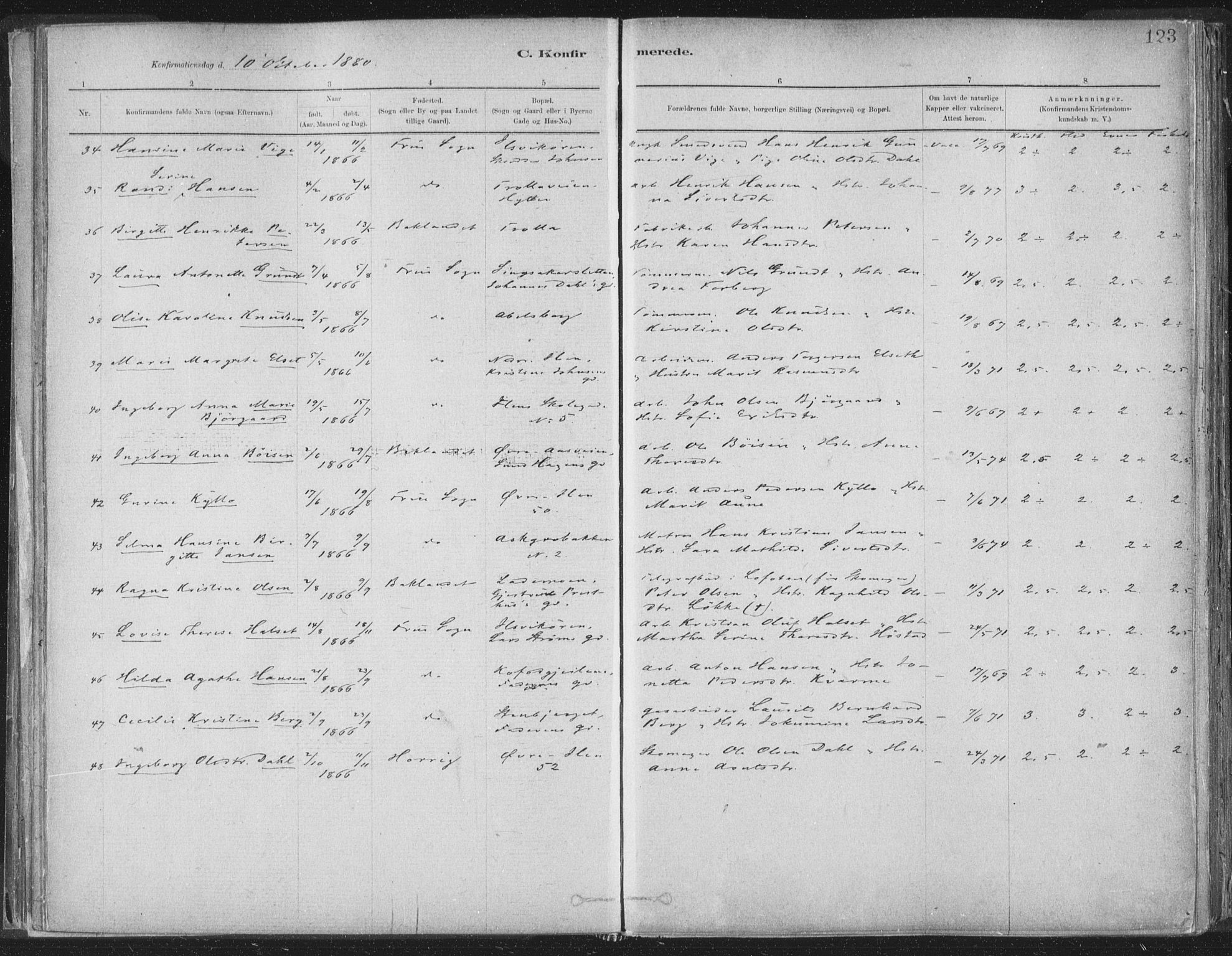 Ministerialprotokoller, klokkerbøker og fødselsregistre - Sør-Trøndelag, SAT/A-1456/603/L0162: Ministerialbok nr. 603A01, 1879-1895, s. 123