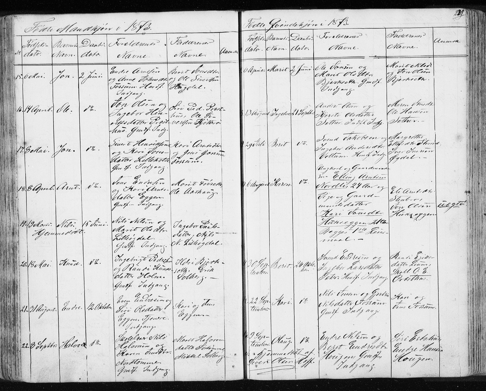 Ministerialprotokoller, klokkerbøker og fødselsregistre - Sør-Trøndelag, AV/SAT-A-1456/689/L1043: Klokkerbok nr. 689C02, 1816-1892, s. 229