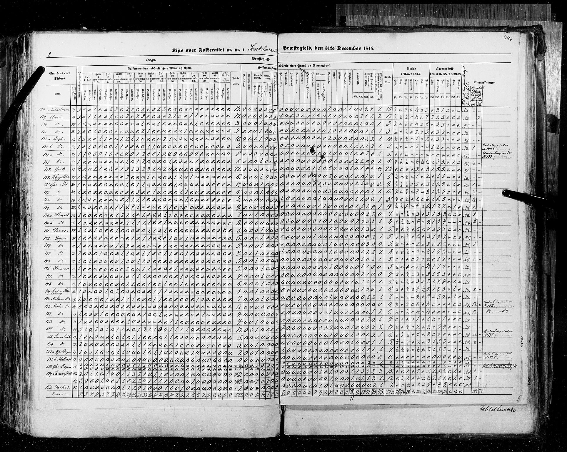 RA, Folketellingen 1845, bind 4: Buskerud amt og Jarlsberg og Larvik amt, 1845, s. 446