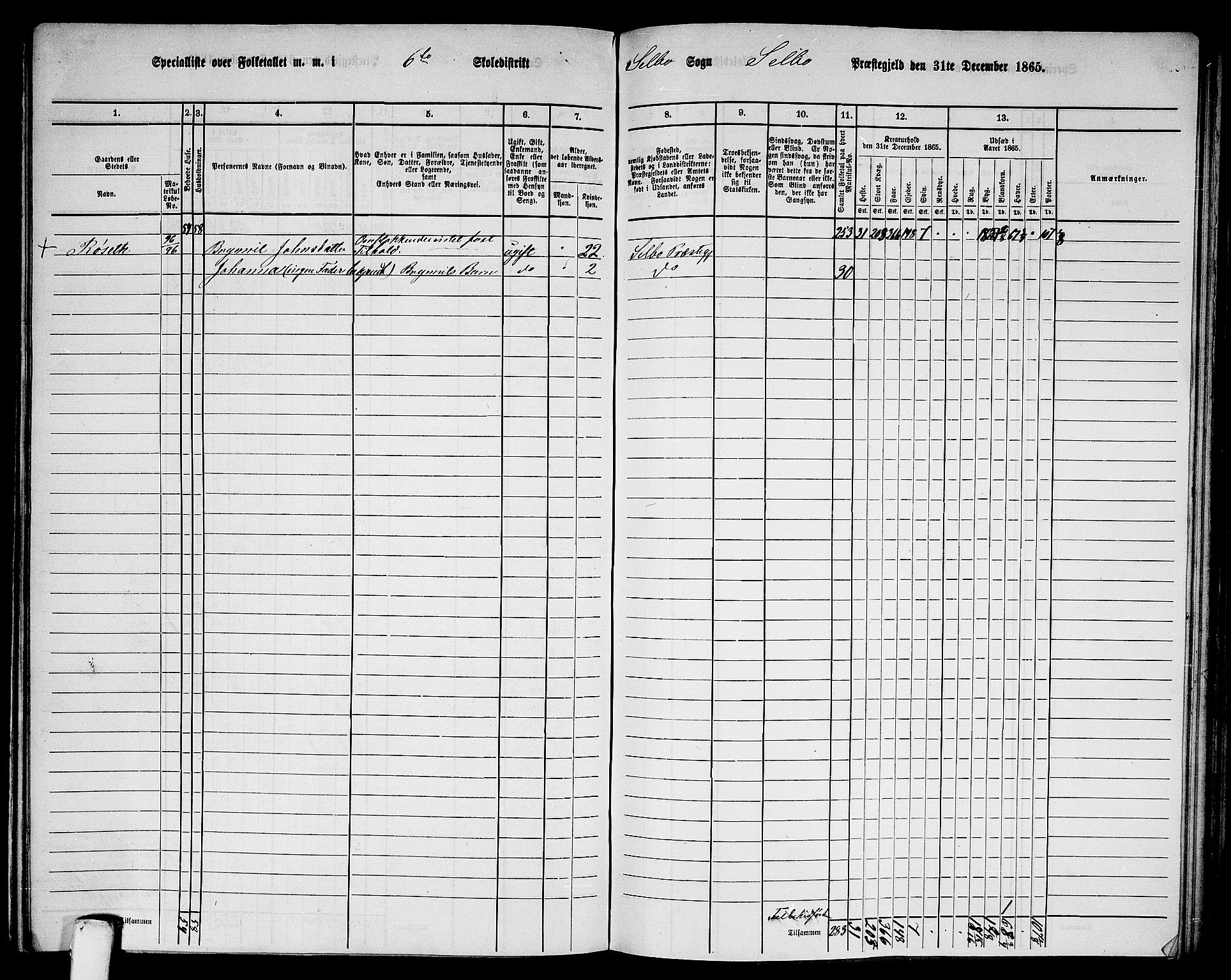 RA, Folketelling 1865 for 1664P Selbu prestegjeld, 1865, s. 113