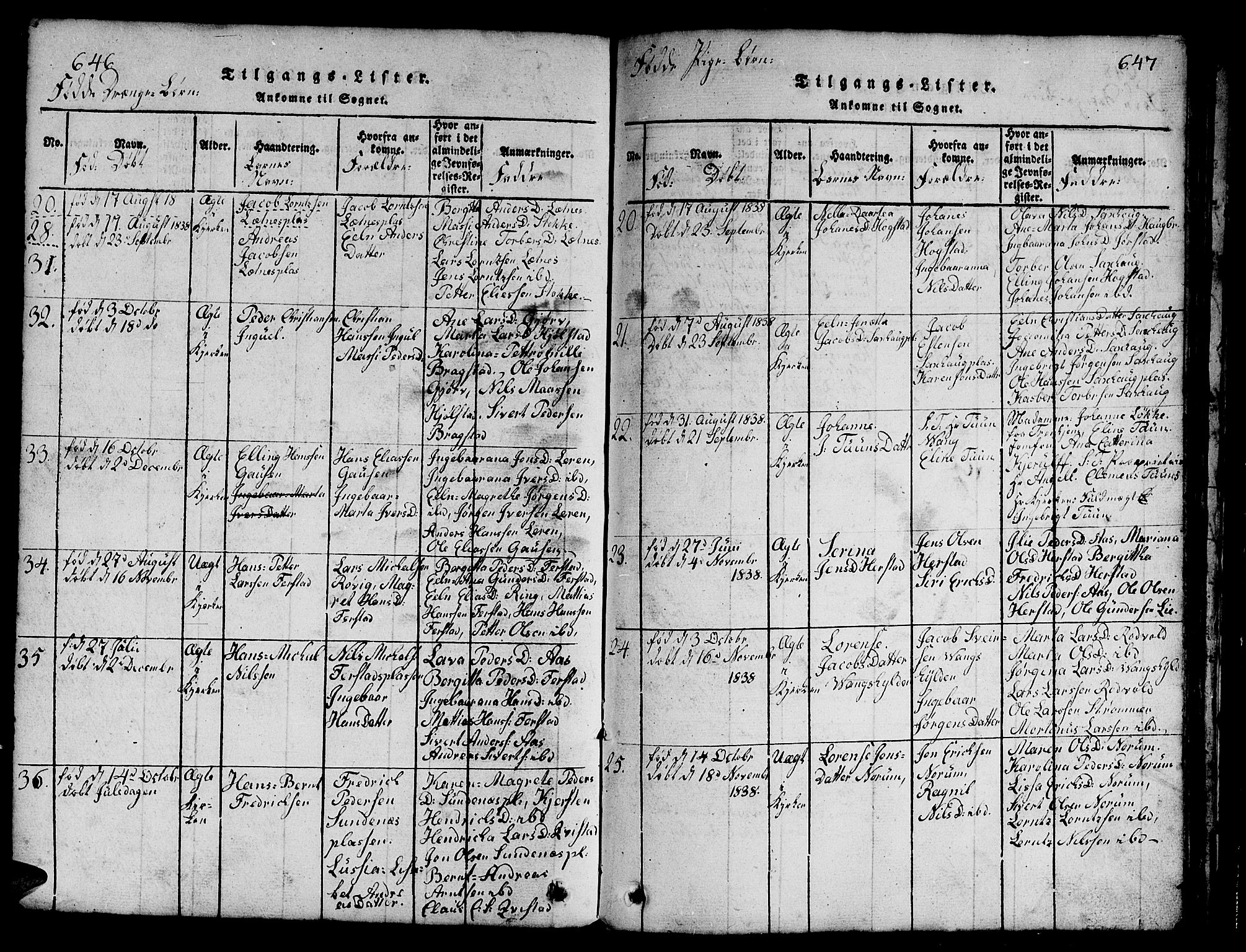 Ministerialprotokoller, klokkerbøker og fødselsregistre - Nord-Trøndelag, SAT/A-1458/730/L0298: Klokkerbok nr. 730C01, 1816-1849, s. 646-647