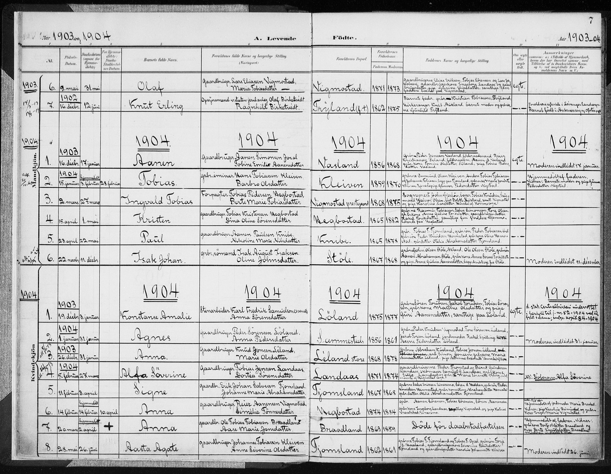 Nord-Audnedal sokneprestkontor, AV/SAK-1111-0032/F/Fa/Fab/L0004: Ministerialbok nr. A 4, 1901-1917, s. 7