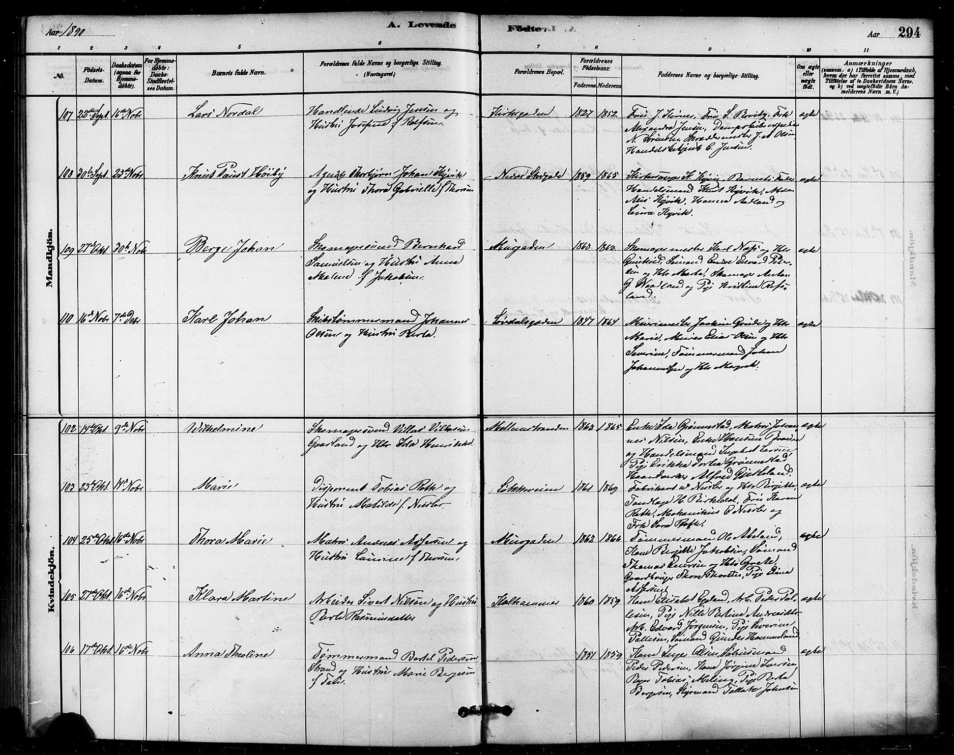 Domkirken sokneprestkontor, AV/SAST-A-101812/001/30/30BB/L0015: Klokkerbok nr. B 15, 1880-1891, s. 294