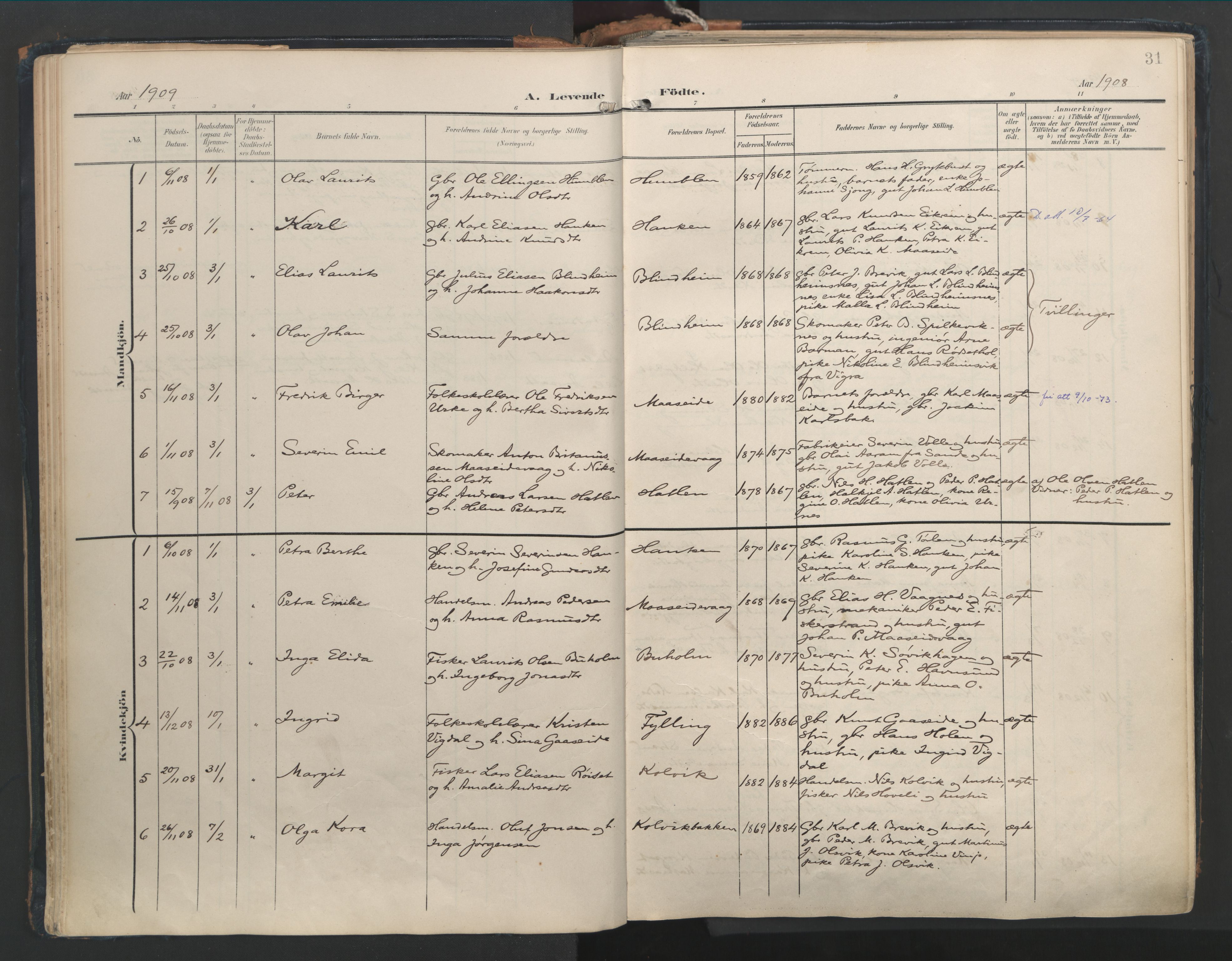 Ministerialprotokoller, klokkerbøker og fødselsregistre - Møre og Romsdal, AV/SAT-A-1454/528/L0411: Ministerialbok nr. 528A20, 1907-1920, s. 31