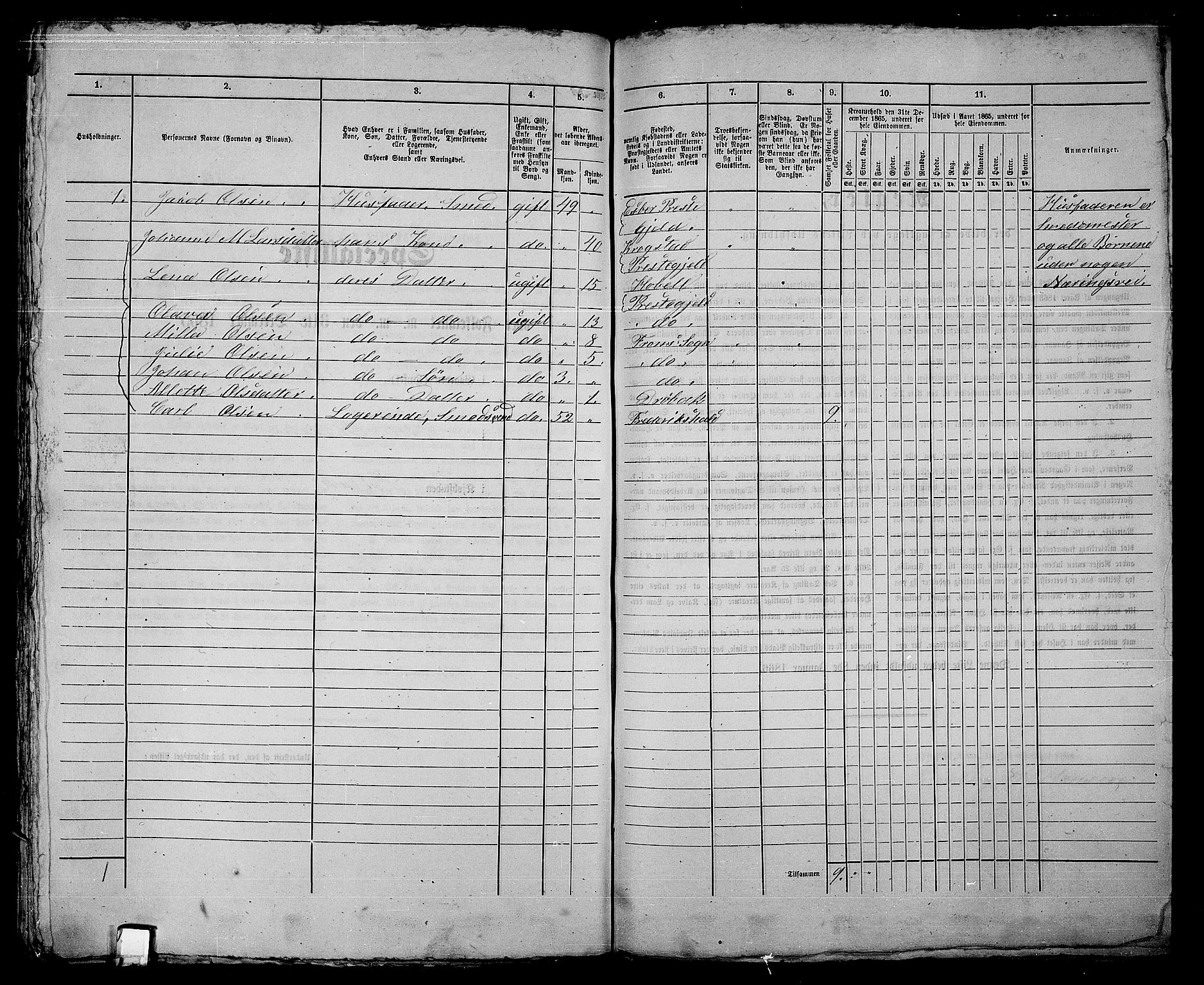 RA, Folketelling 1865 for 0203B Drøbak prestegjeld, Drøbak kjøpstad, 1865, s. 446