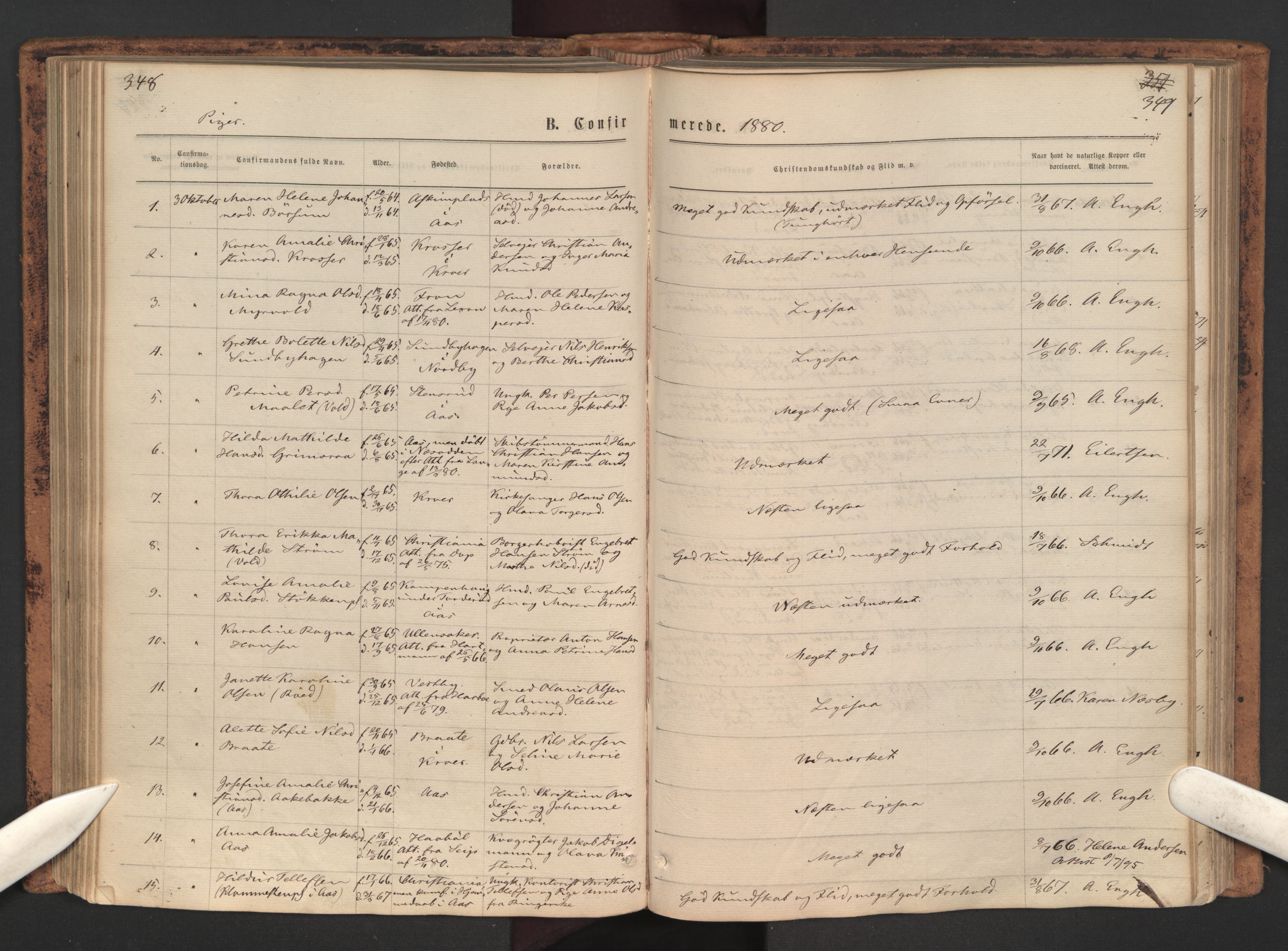 Ås prestekontor Kirkebøker, AV/SAO-A-10894/F/Fa/L0008: Ministerialbok nr. I 8, 1871-1880, s. 348-349
