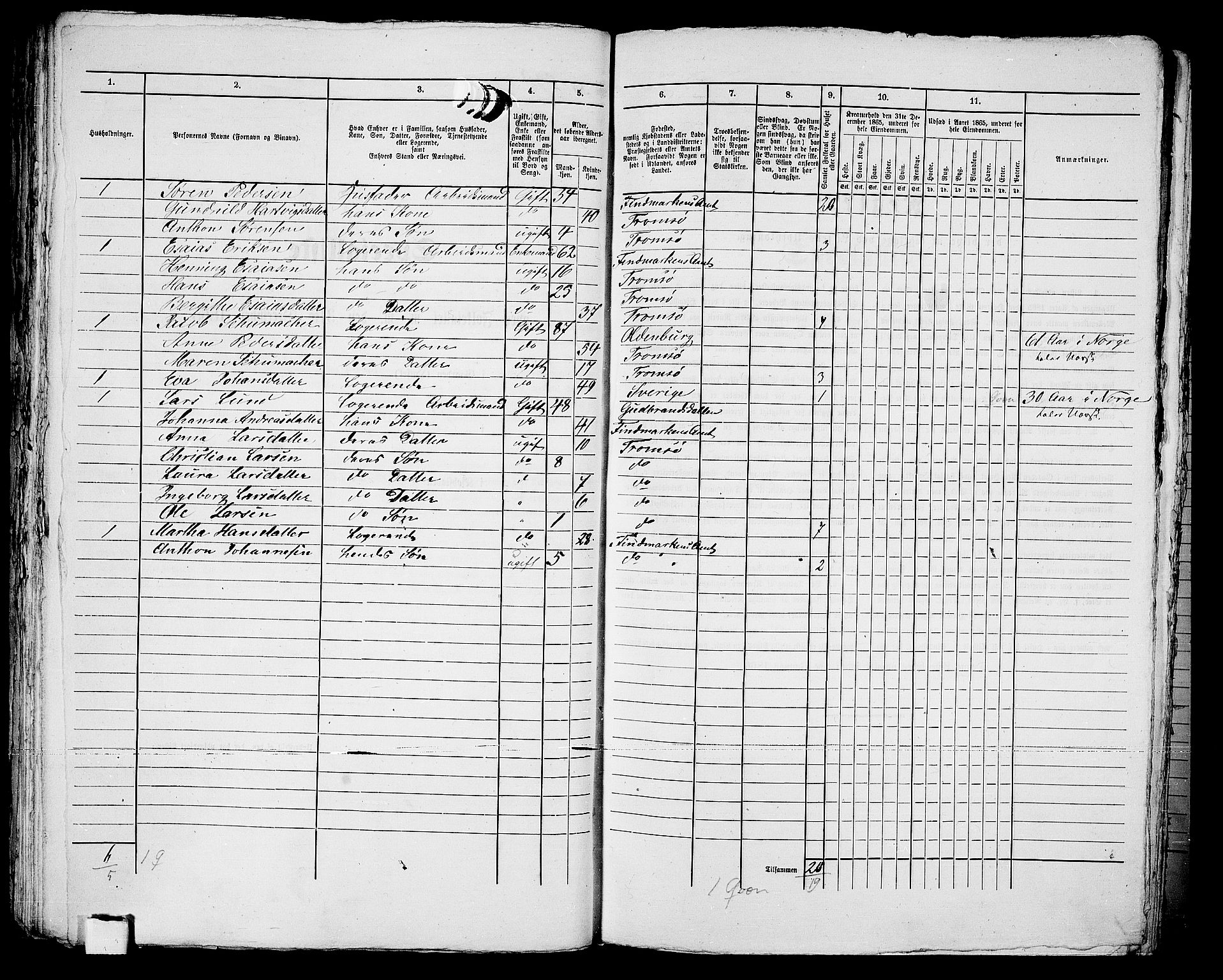 RA, Folketelling 1865 for 1902P Tromsø prestegjeld, 1865, s. 493