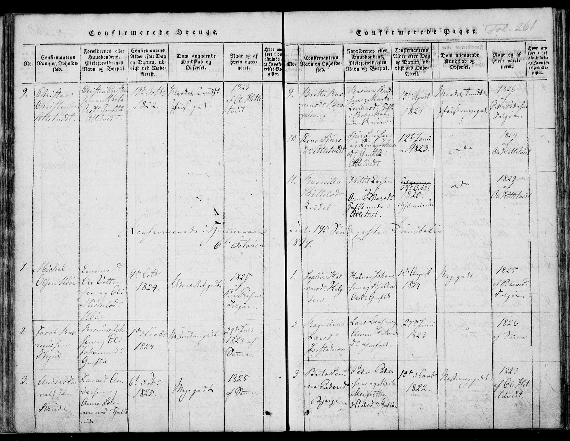 Nedstrand sokneprestkontor, AV/SAST-A-101841/01/IV: Ministerialbok nr. A 7, 1816-1870, s. 261